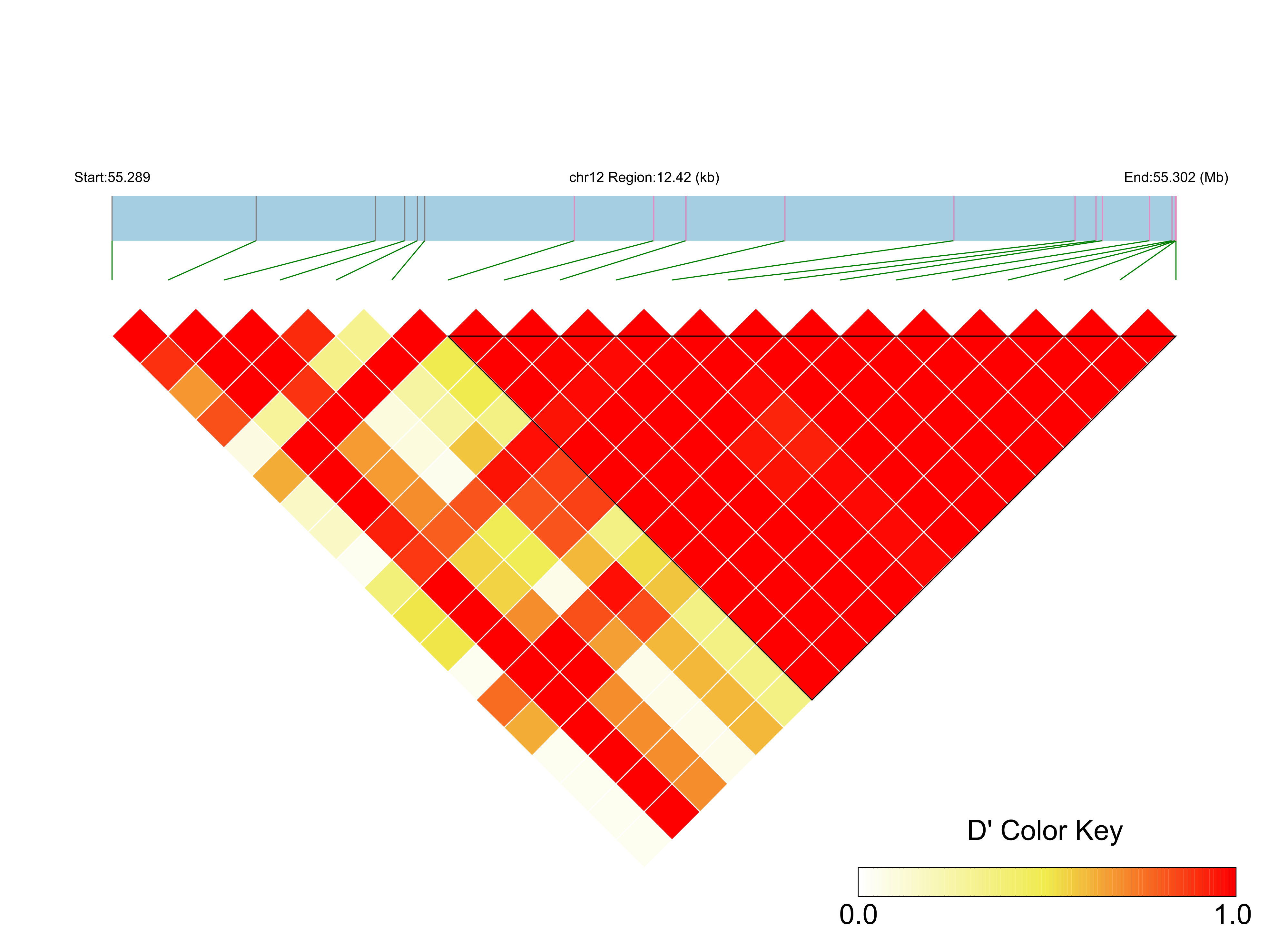 LD