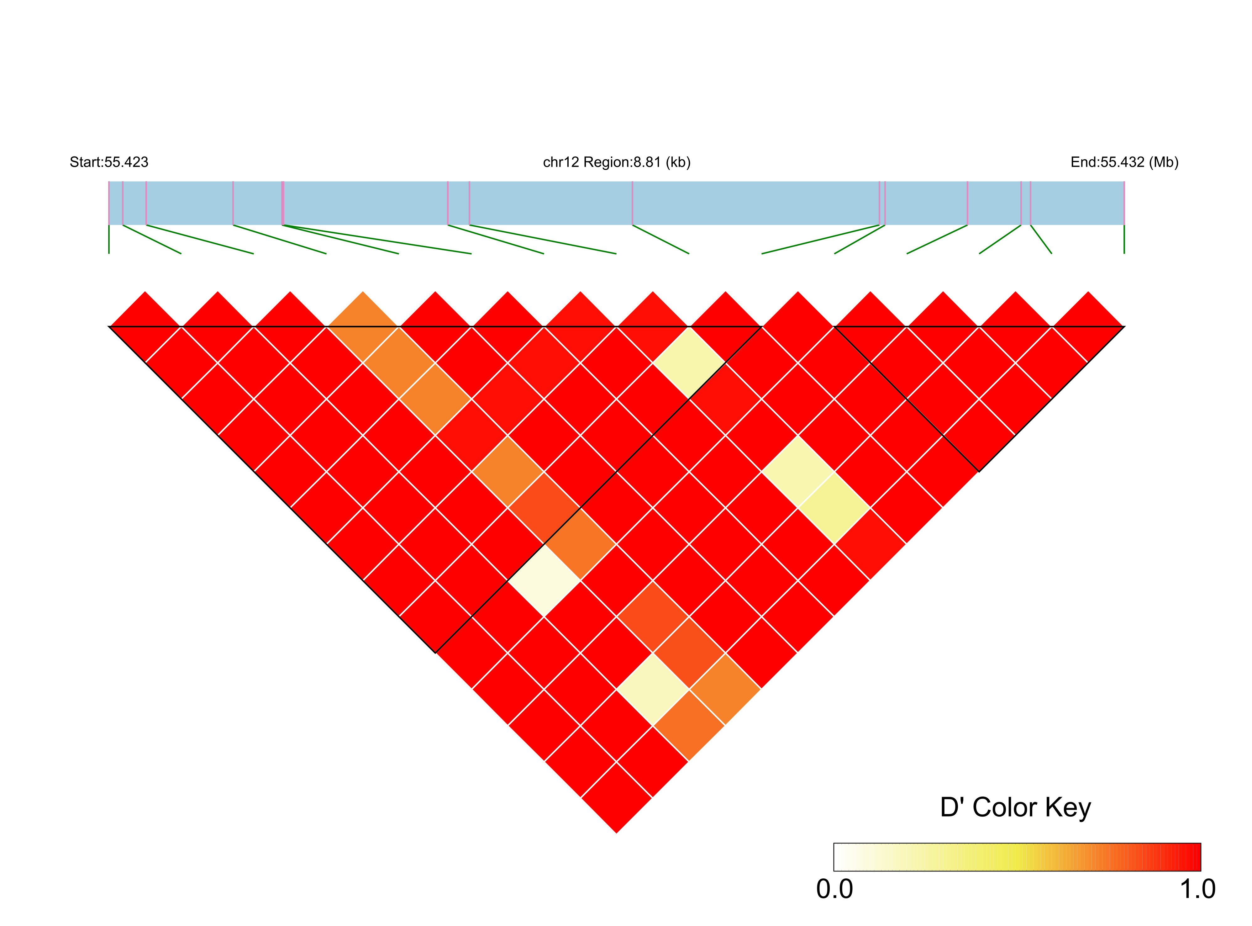 LD