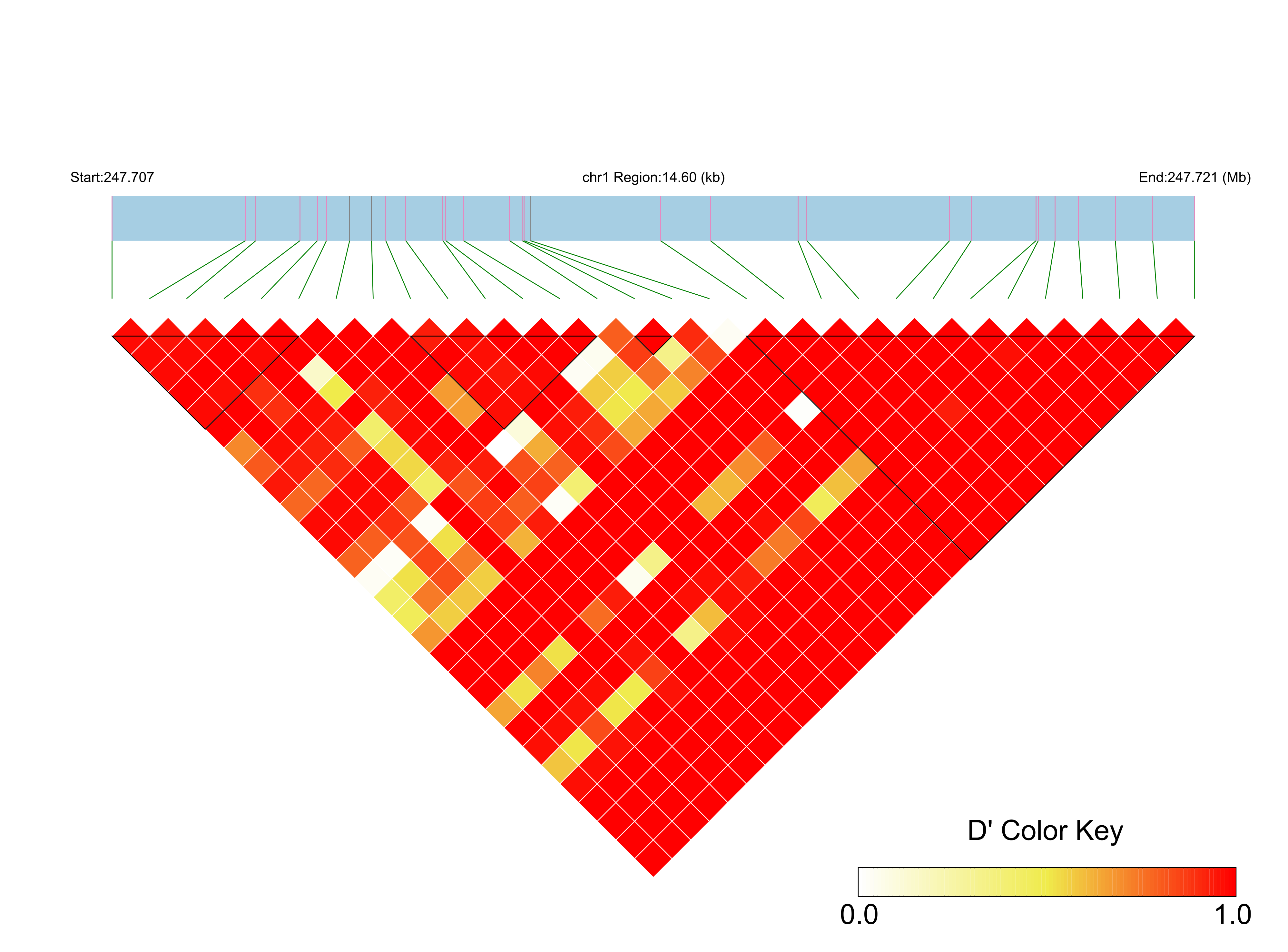 LD