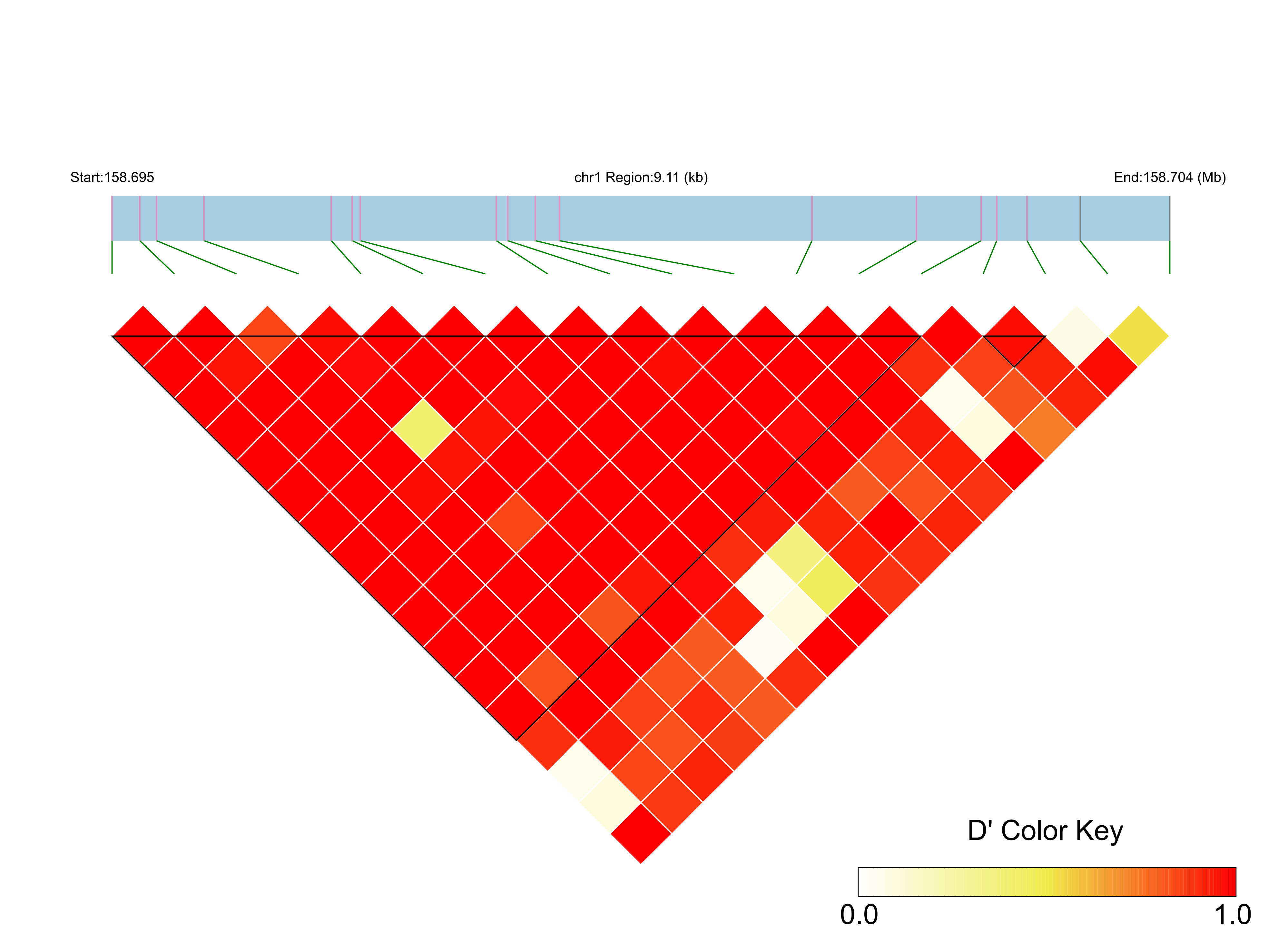 LD