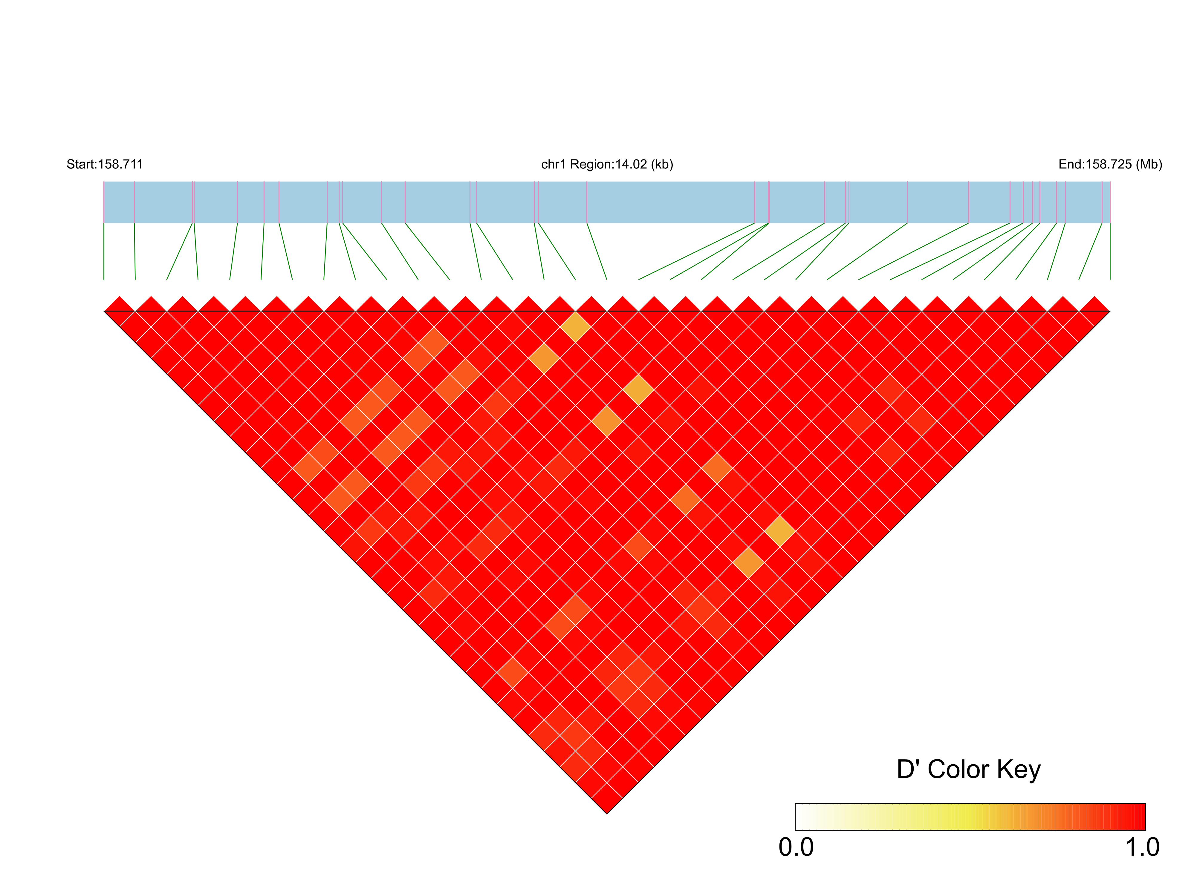 LD