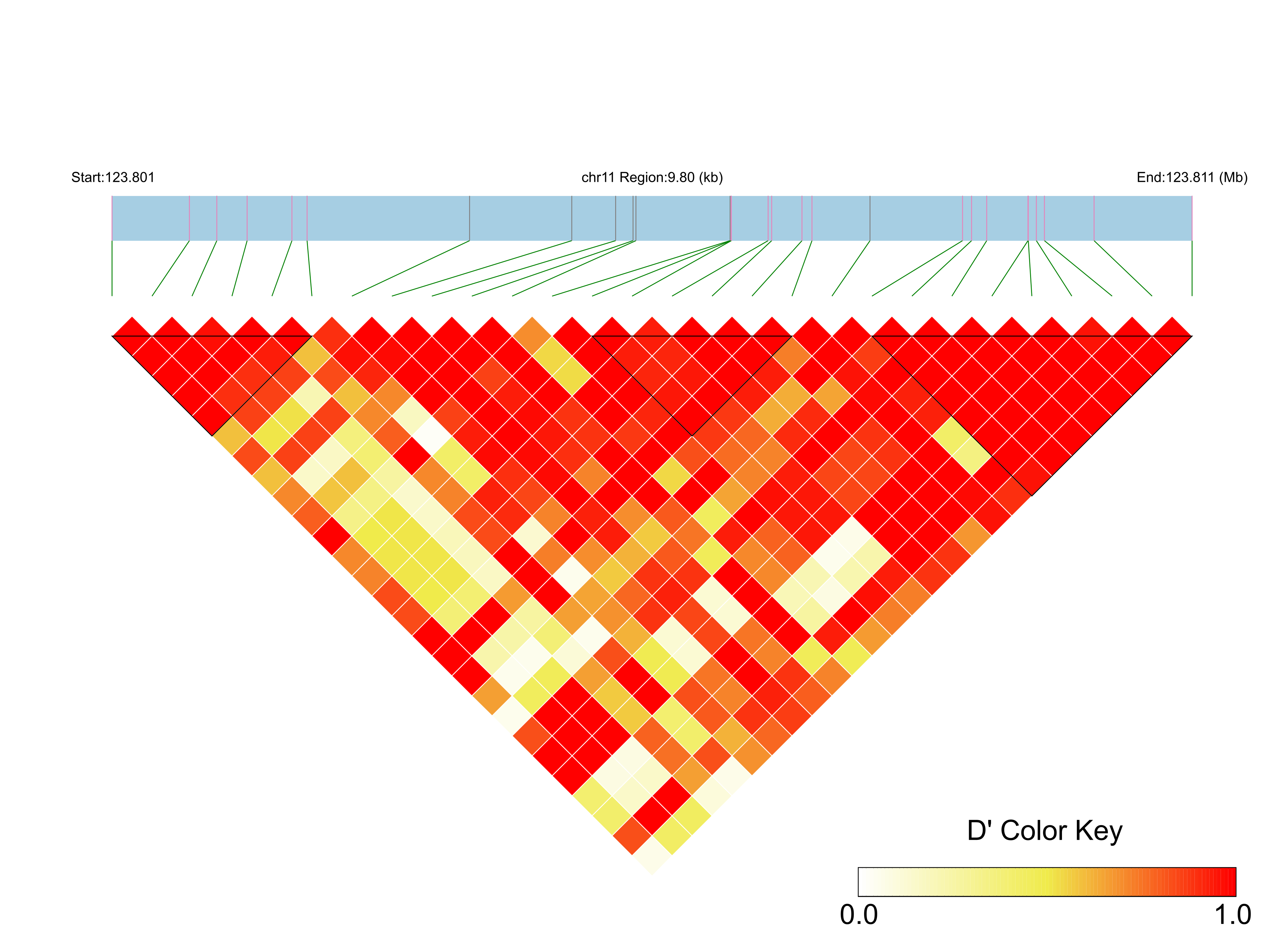 LD
