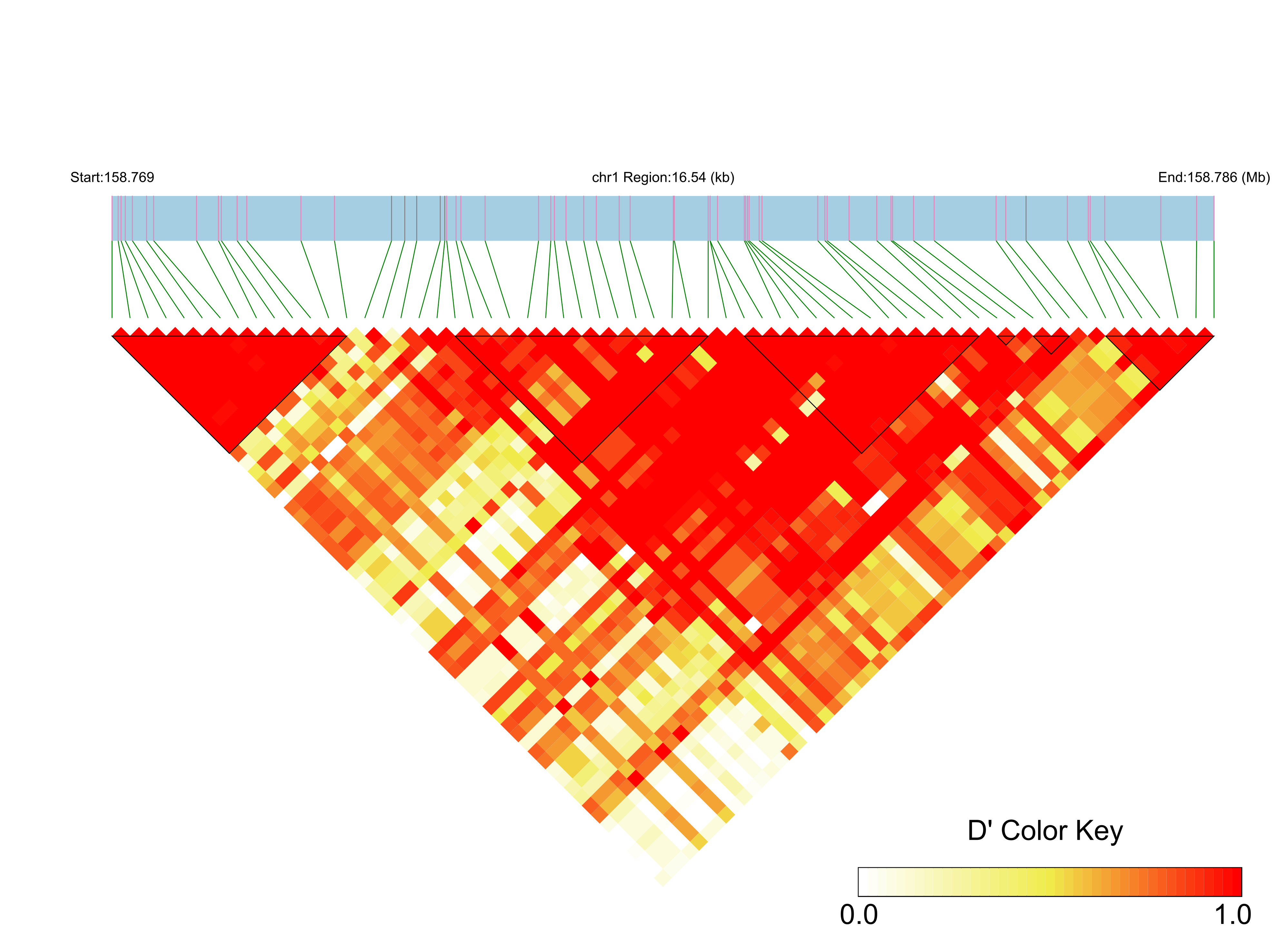 LD