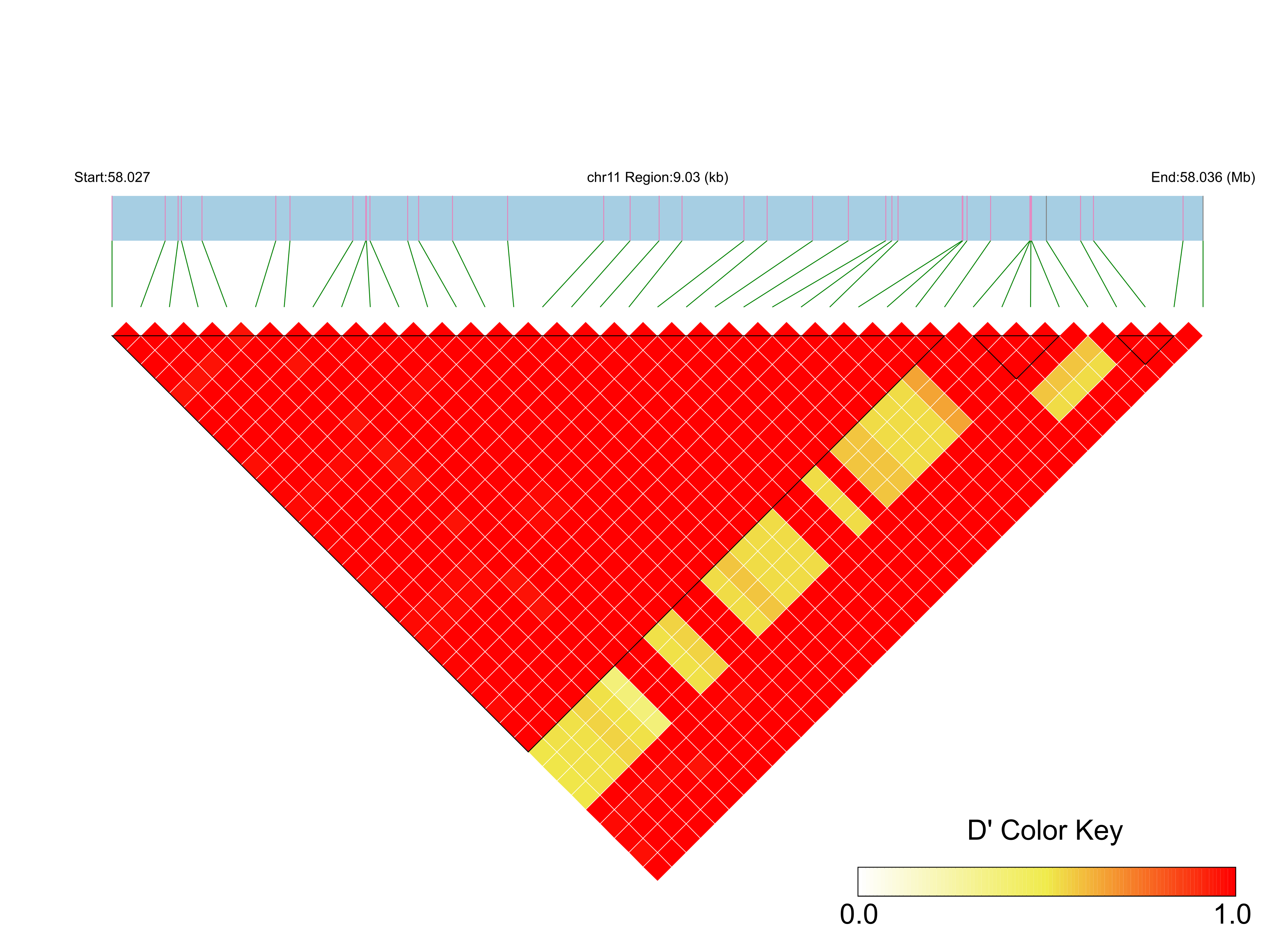 LD