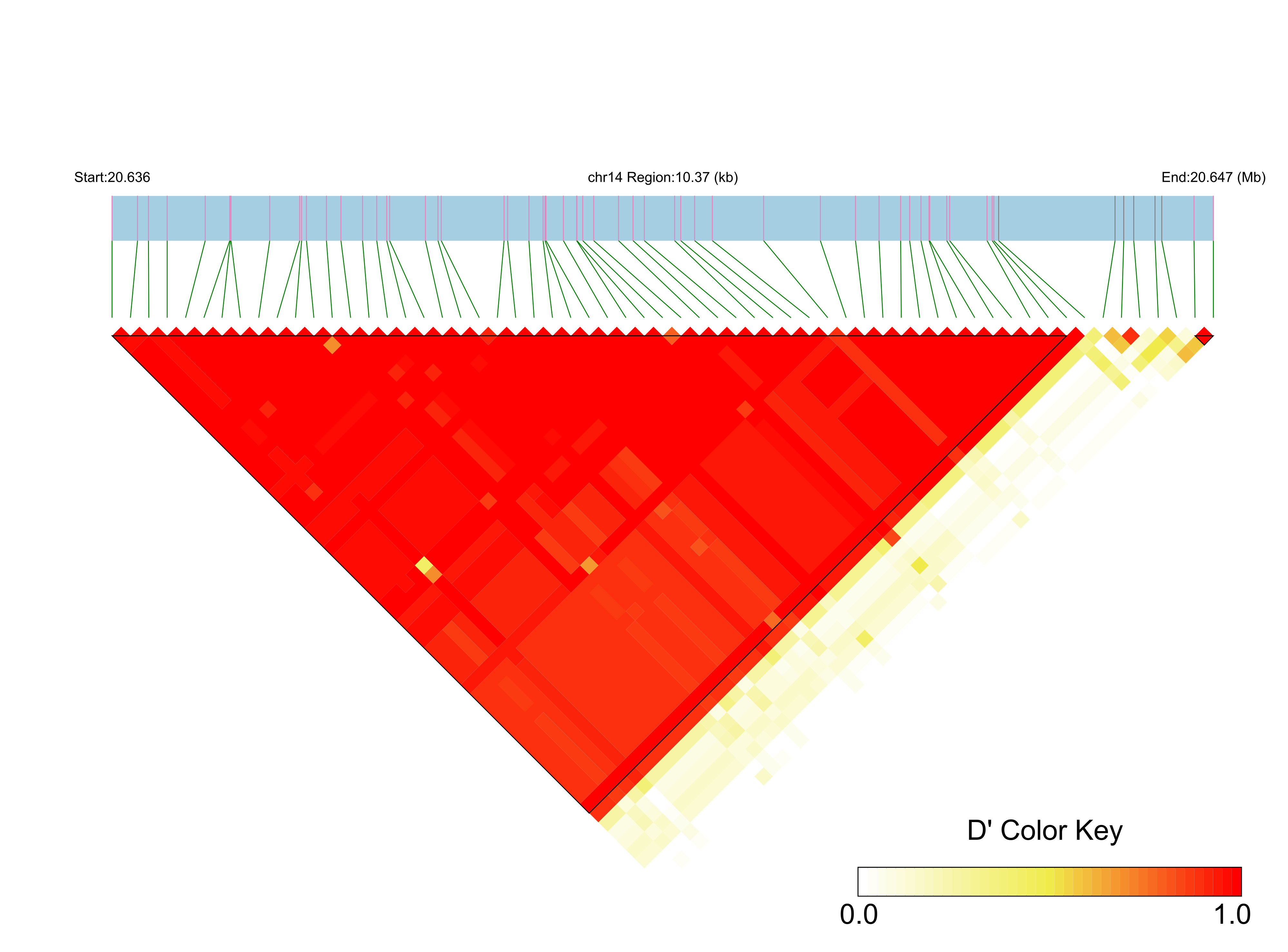 LD