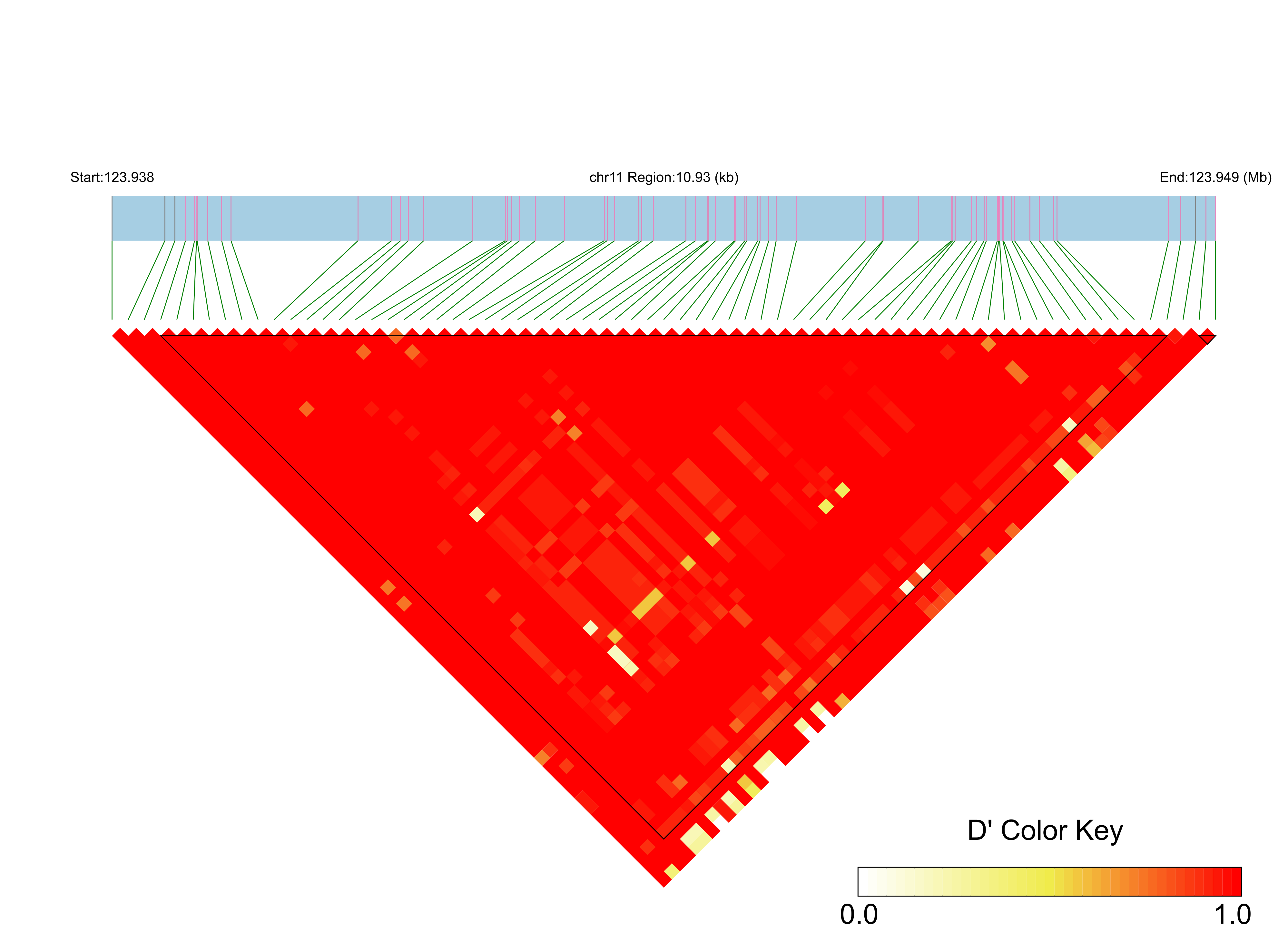 LD