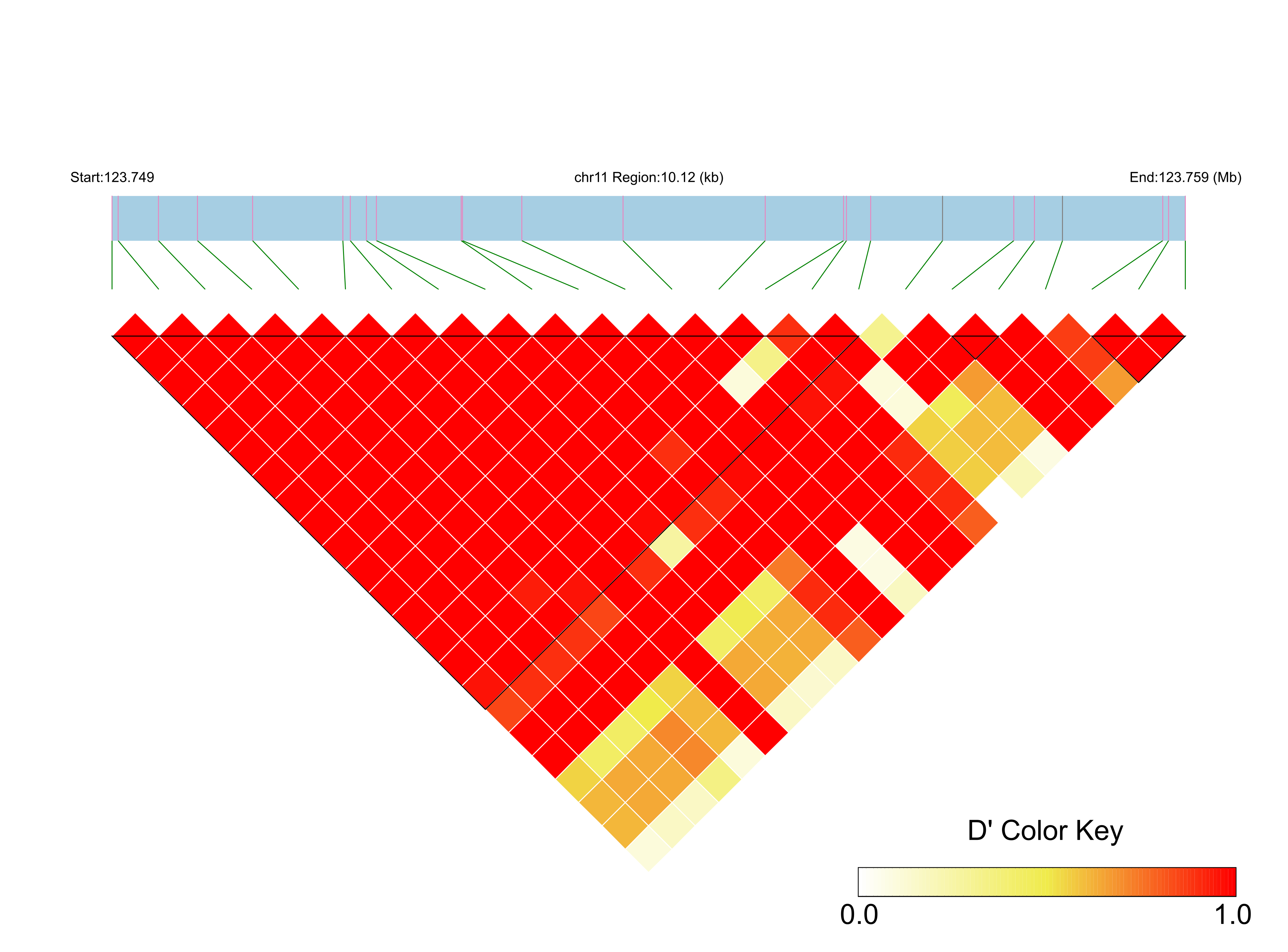 LD
