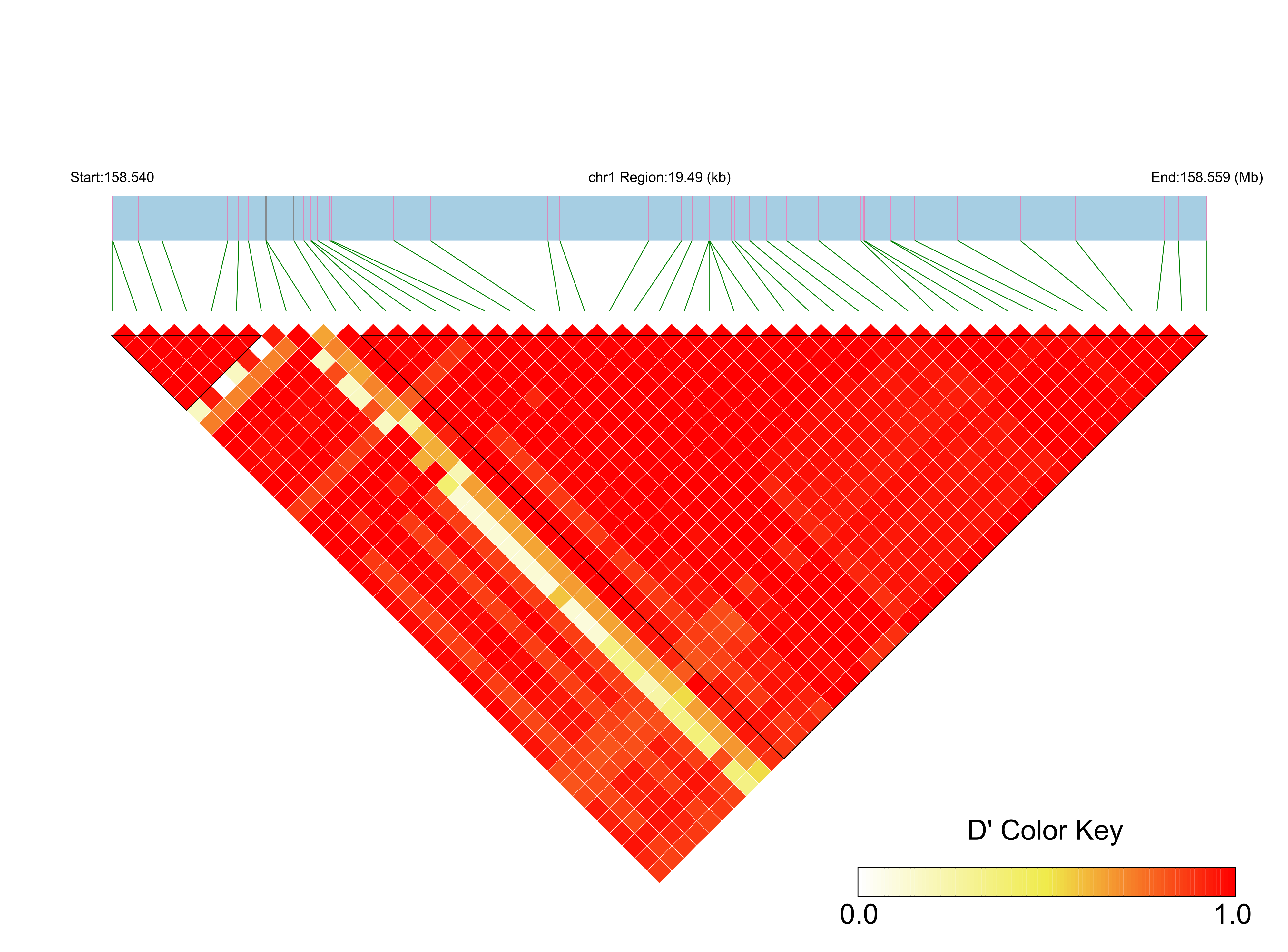 LD