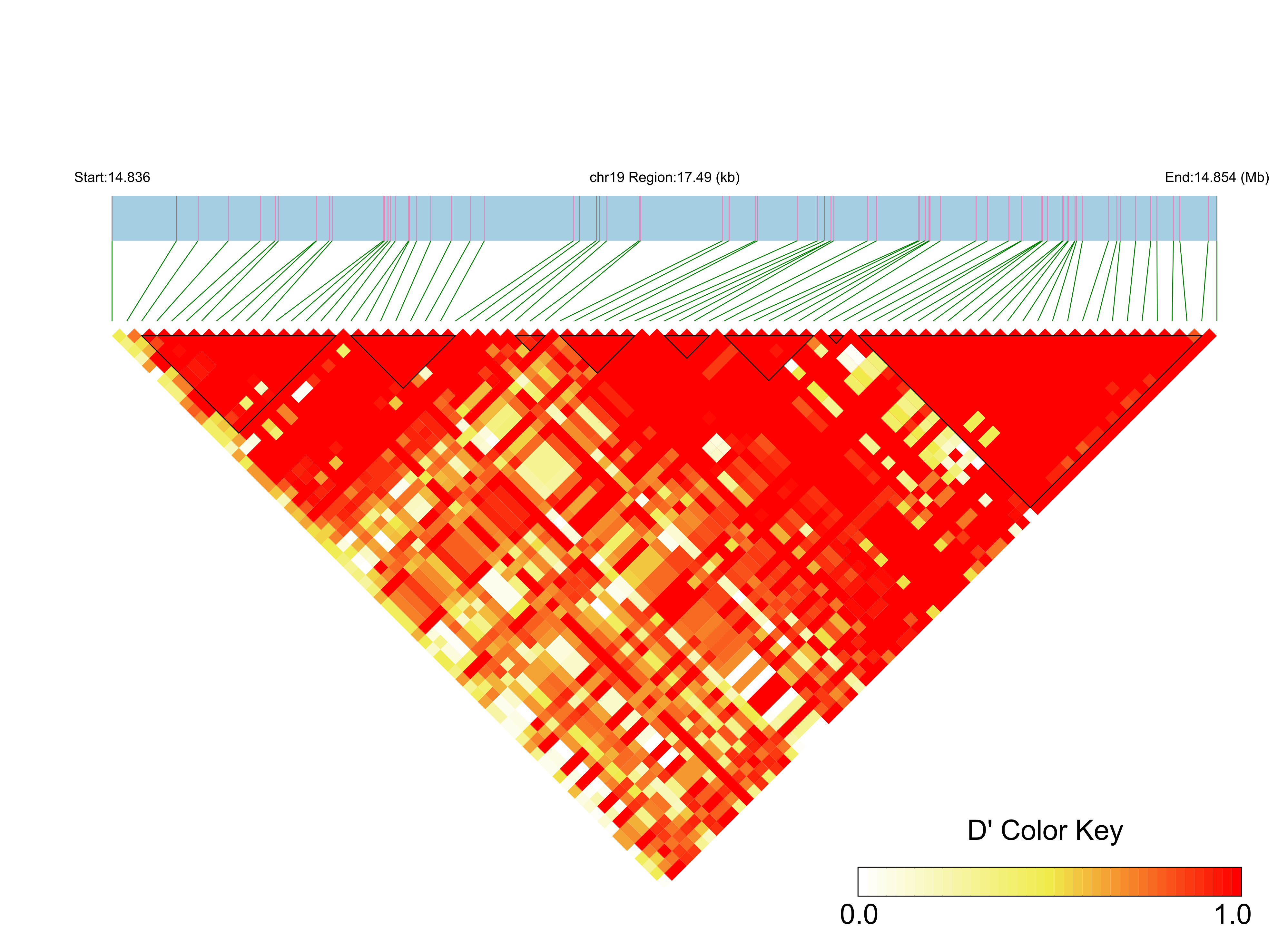 LD