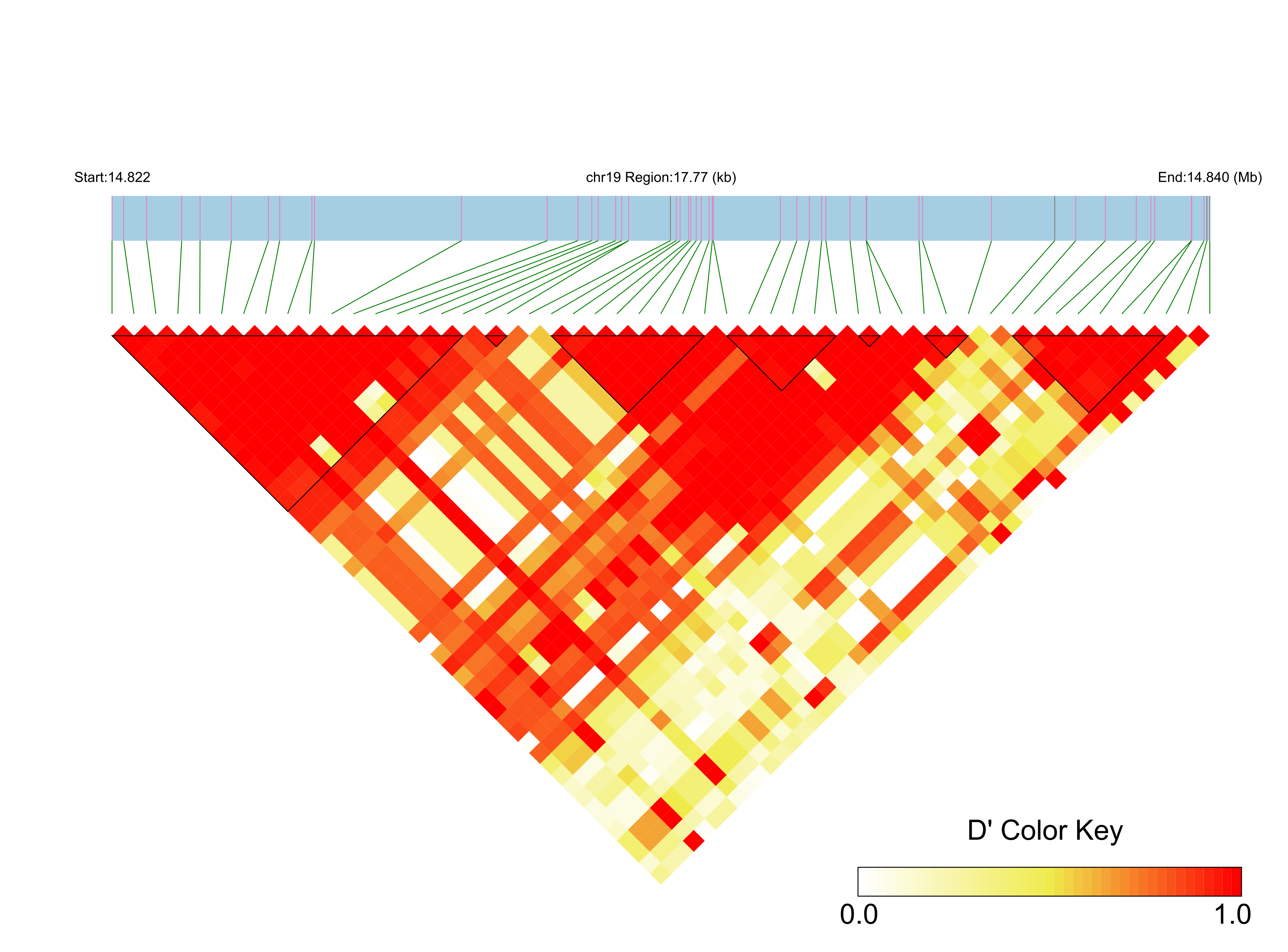 LD