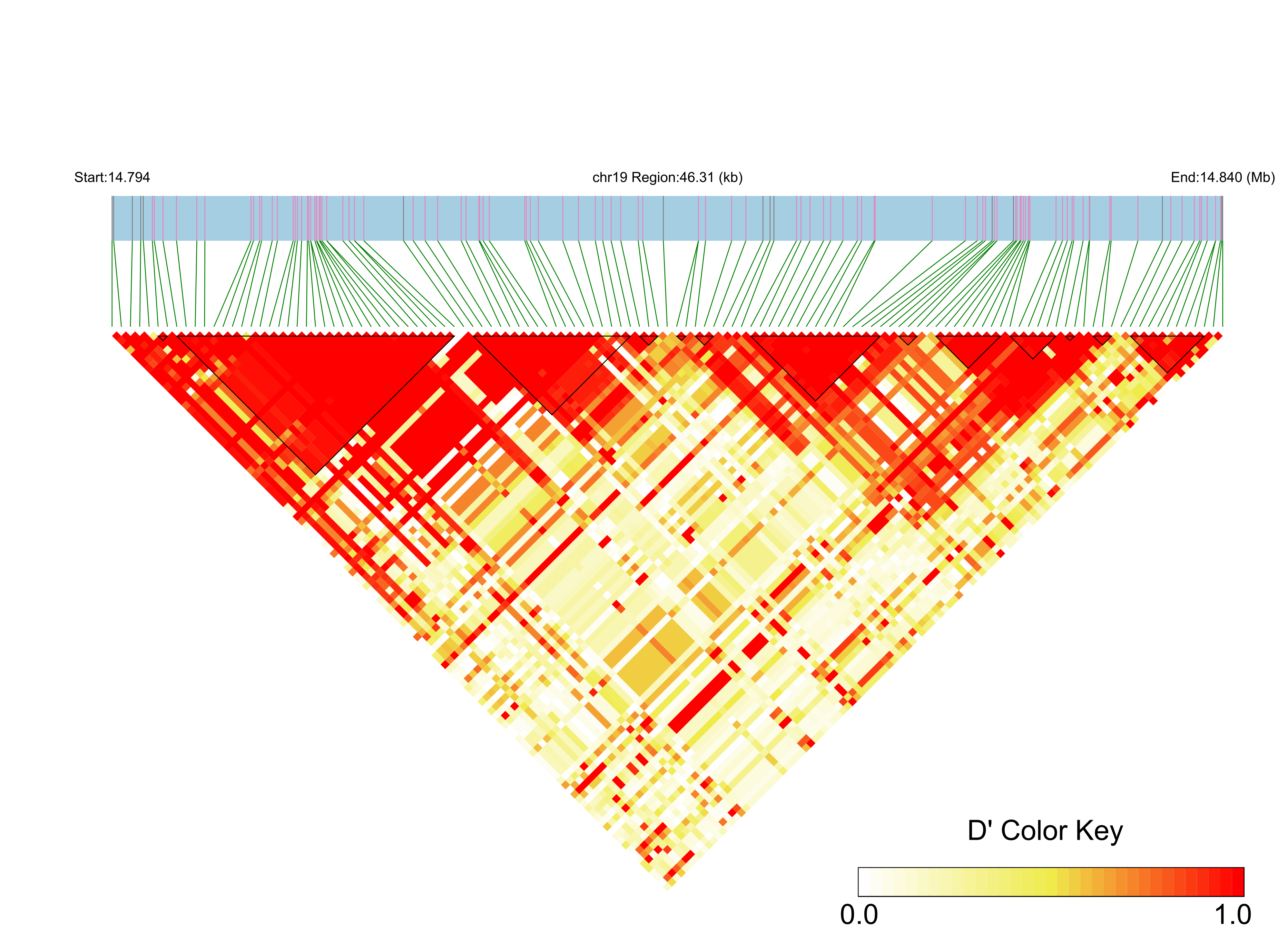 LD
