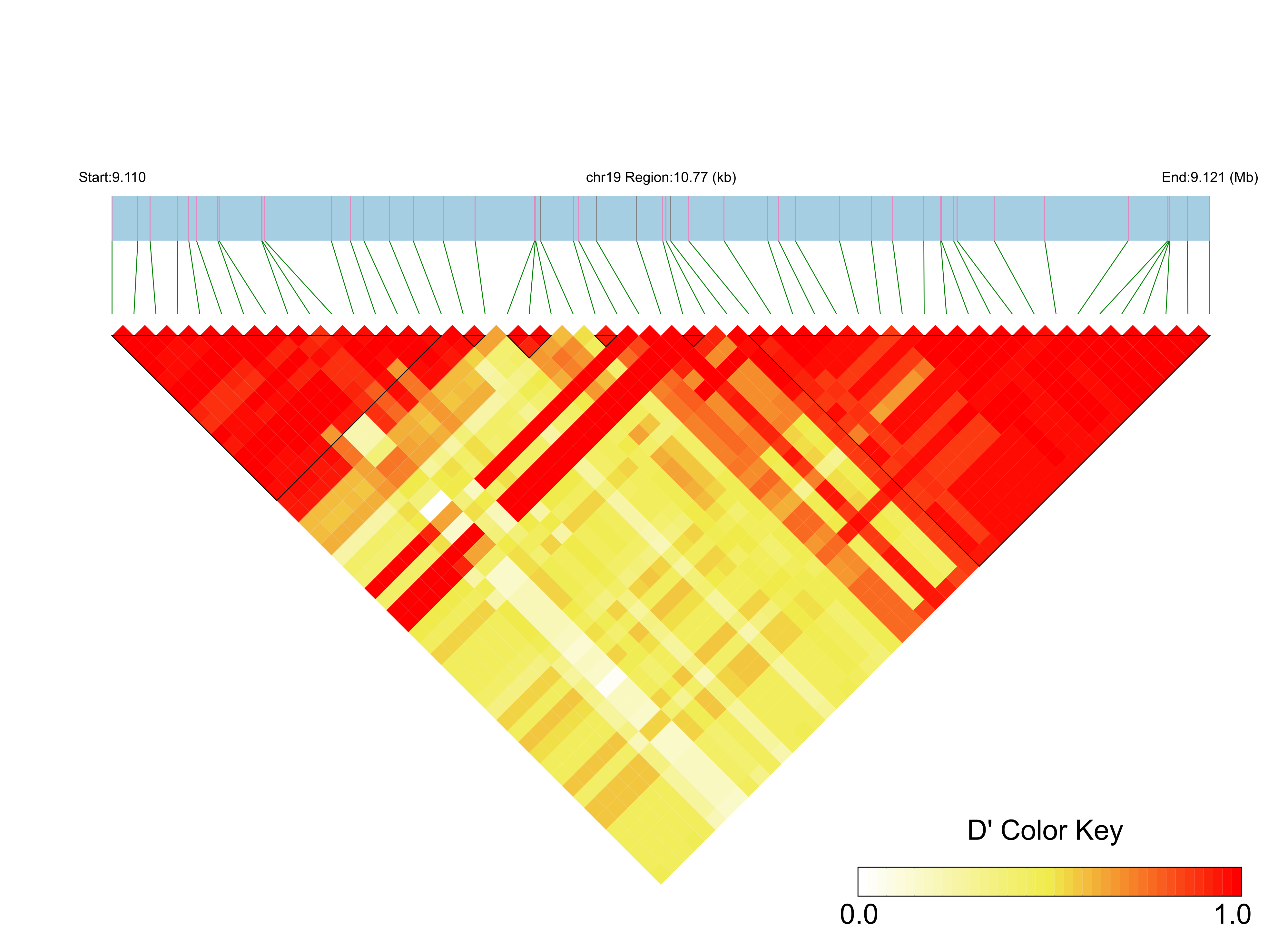 LD