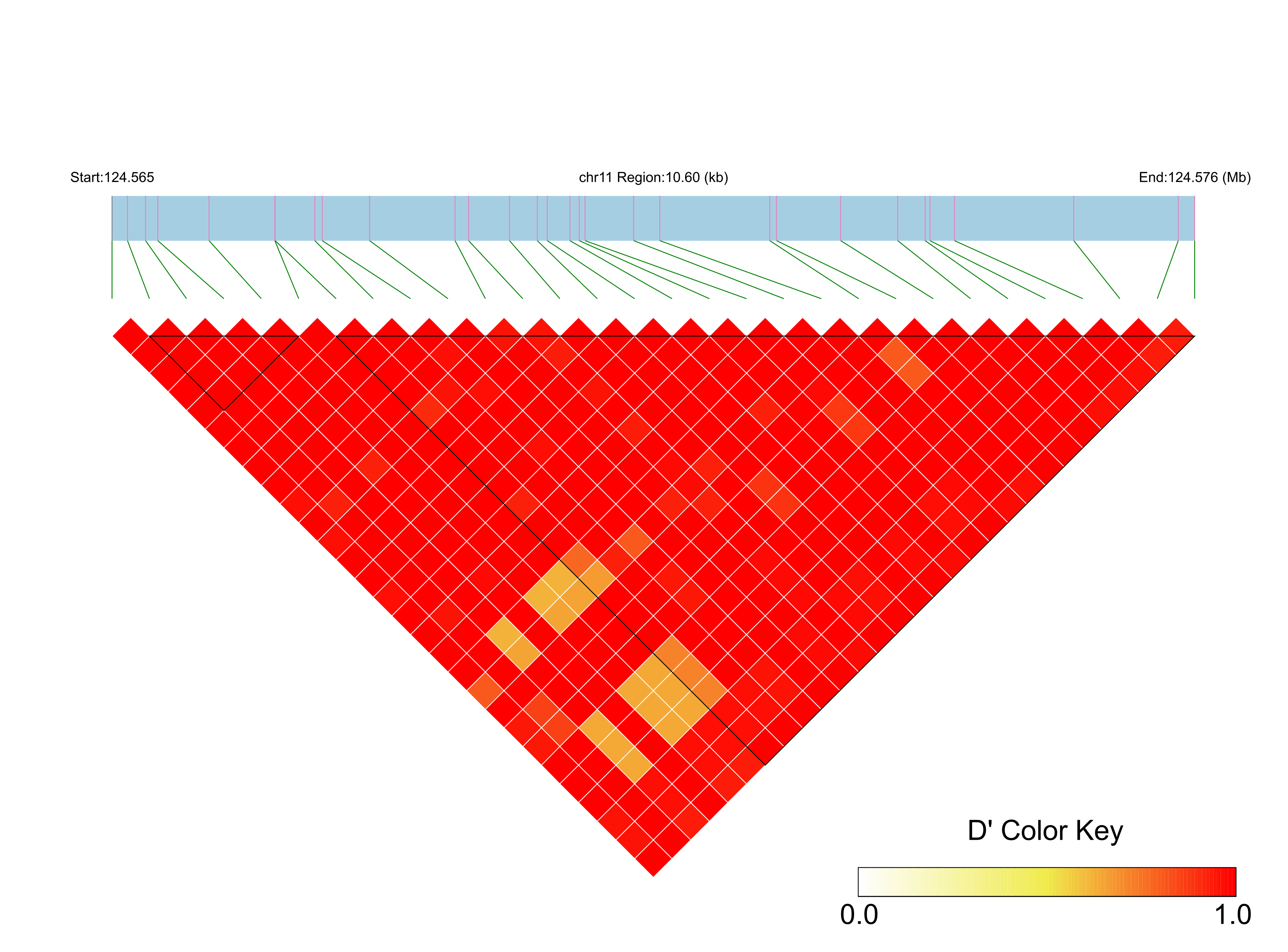LD