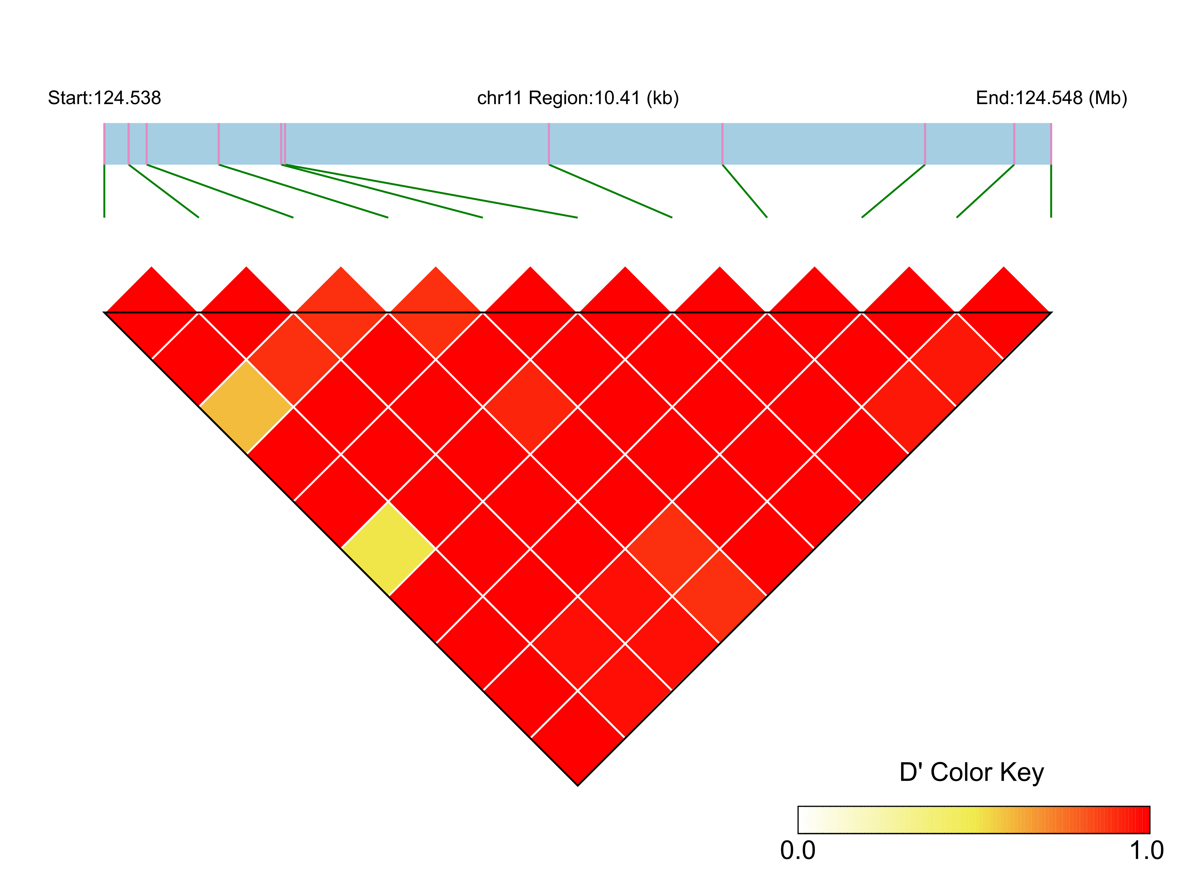 LD