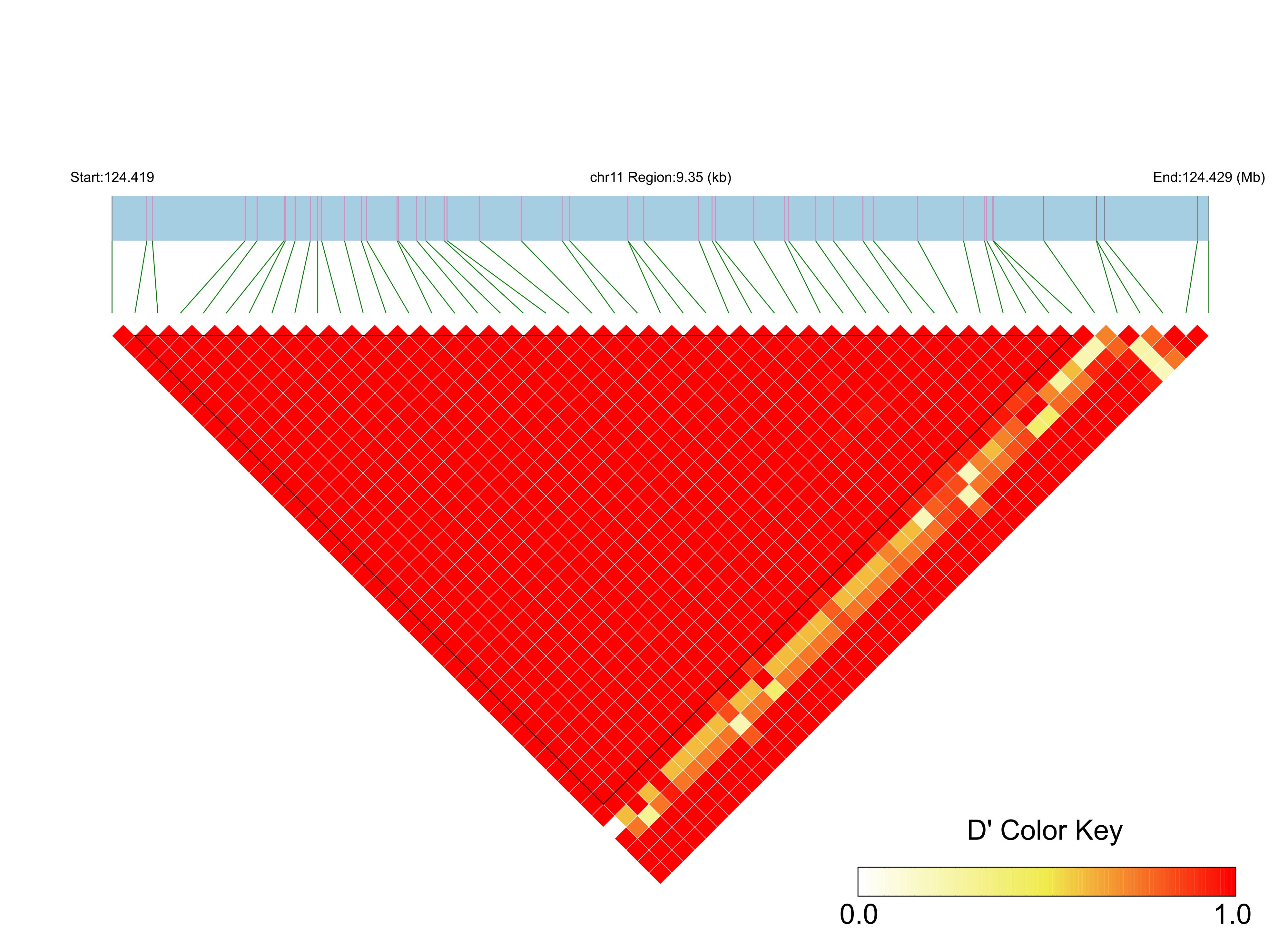 LD