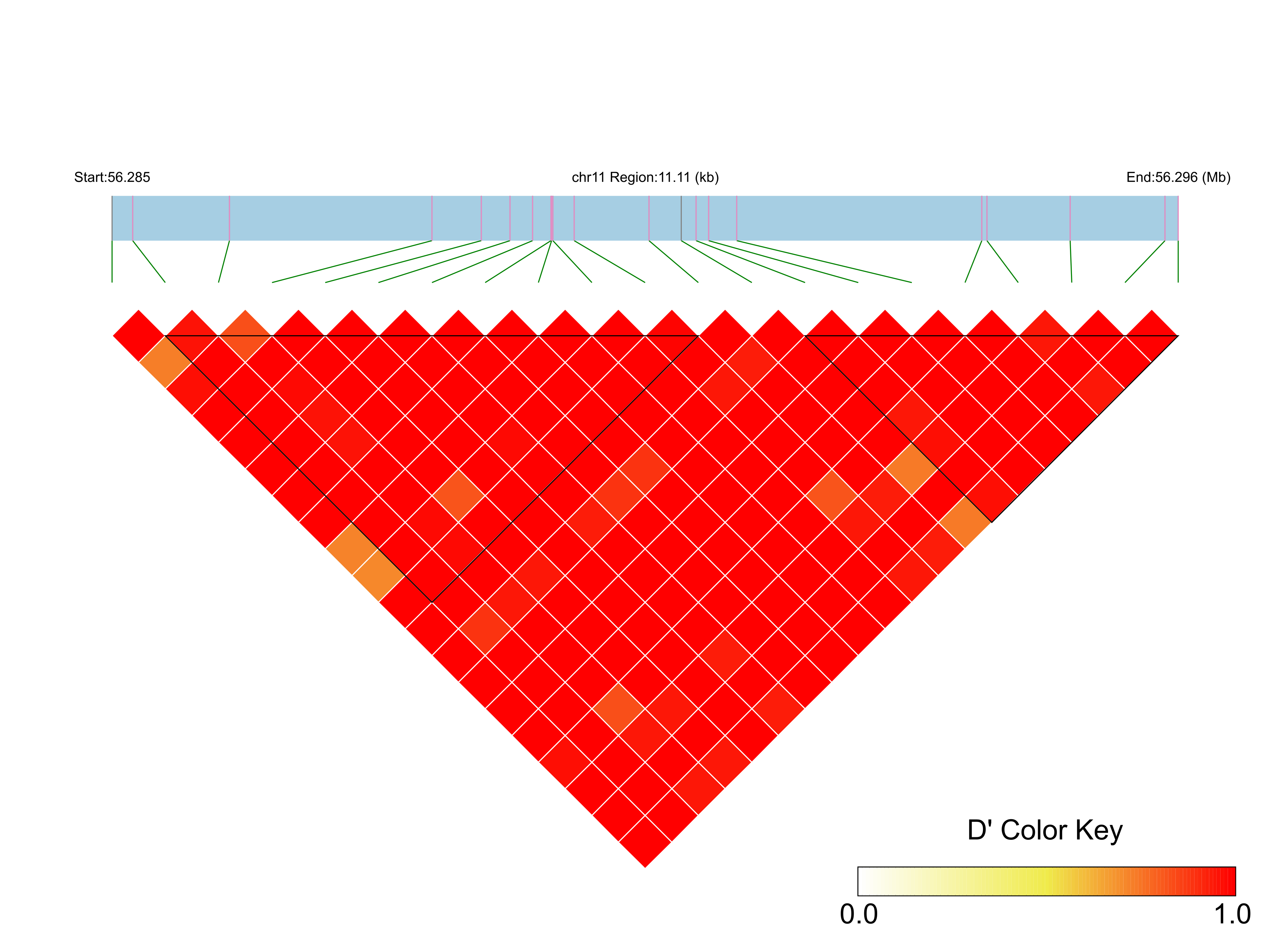 LD