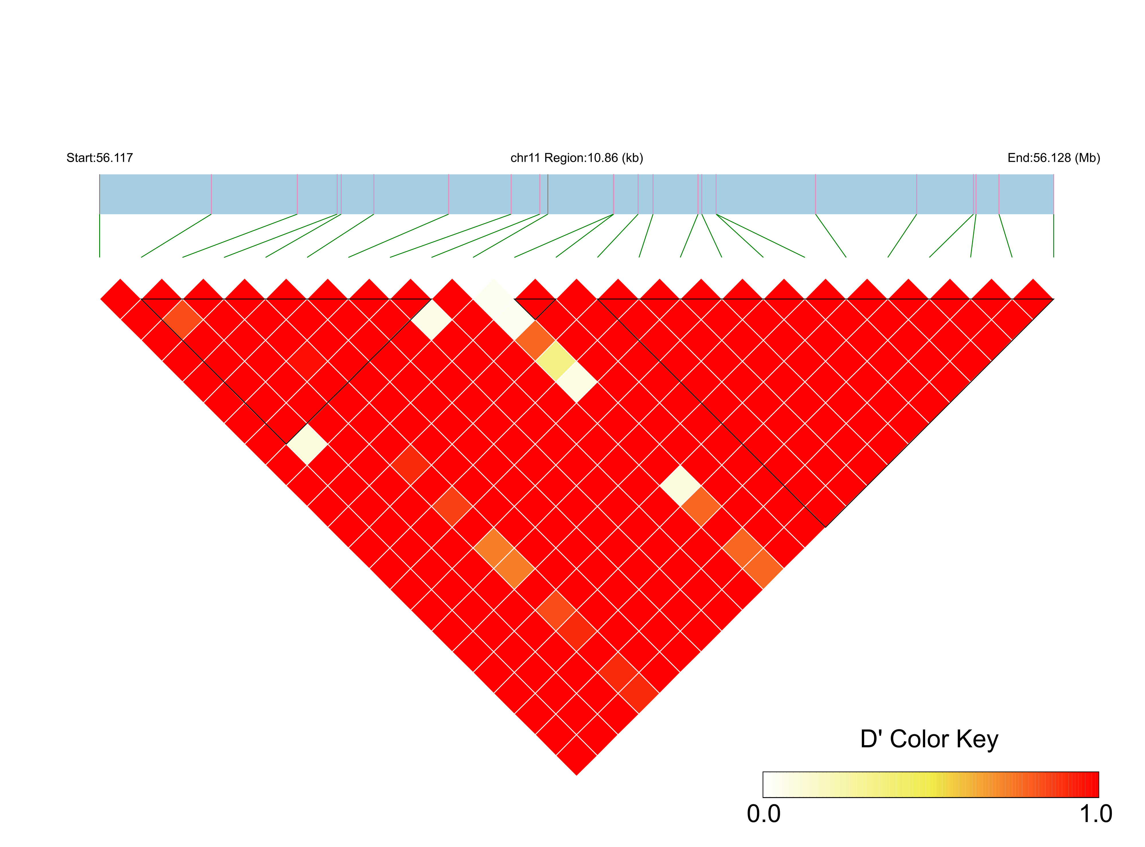 LD