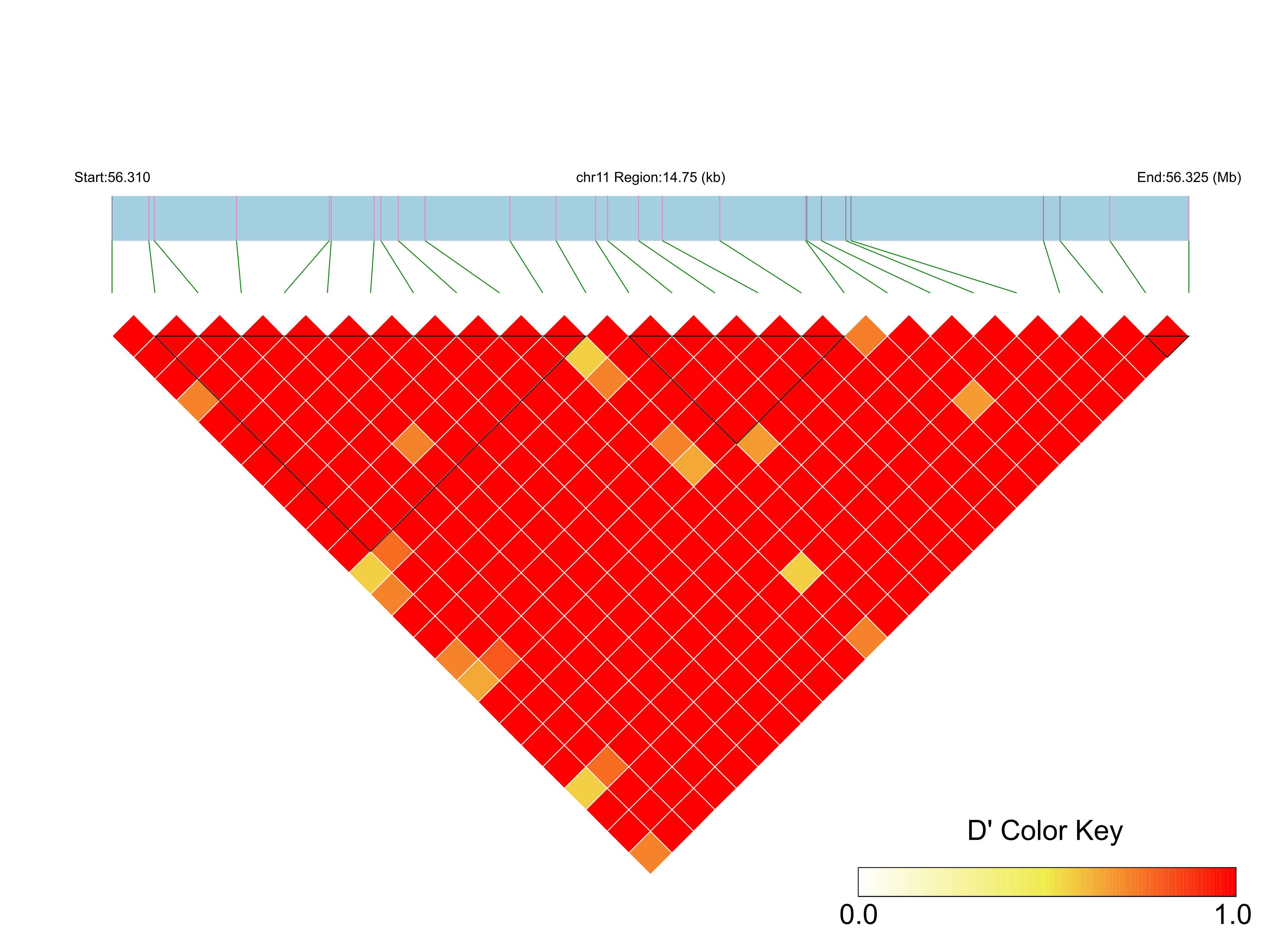 LD