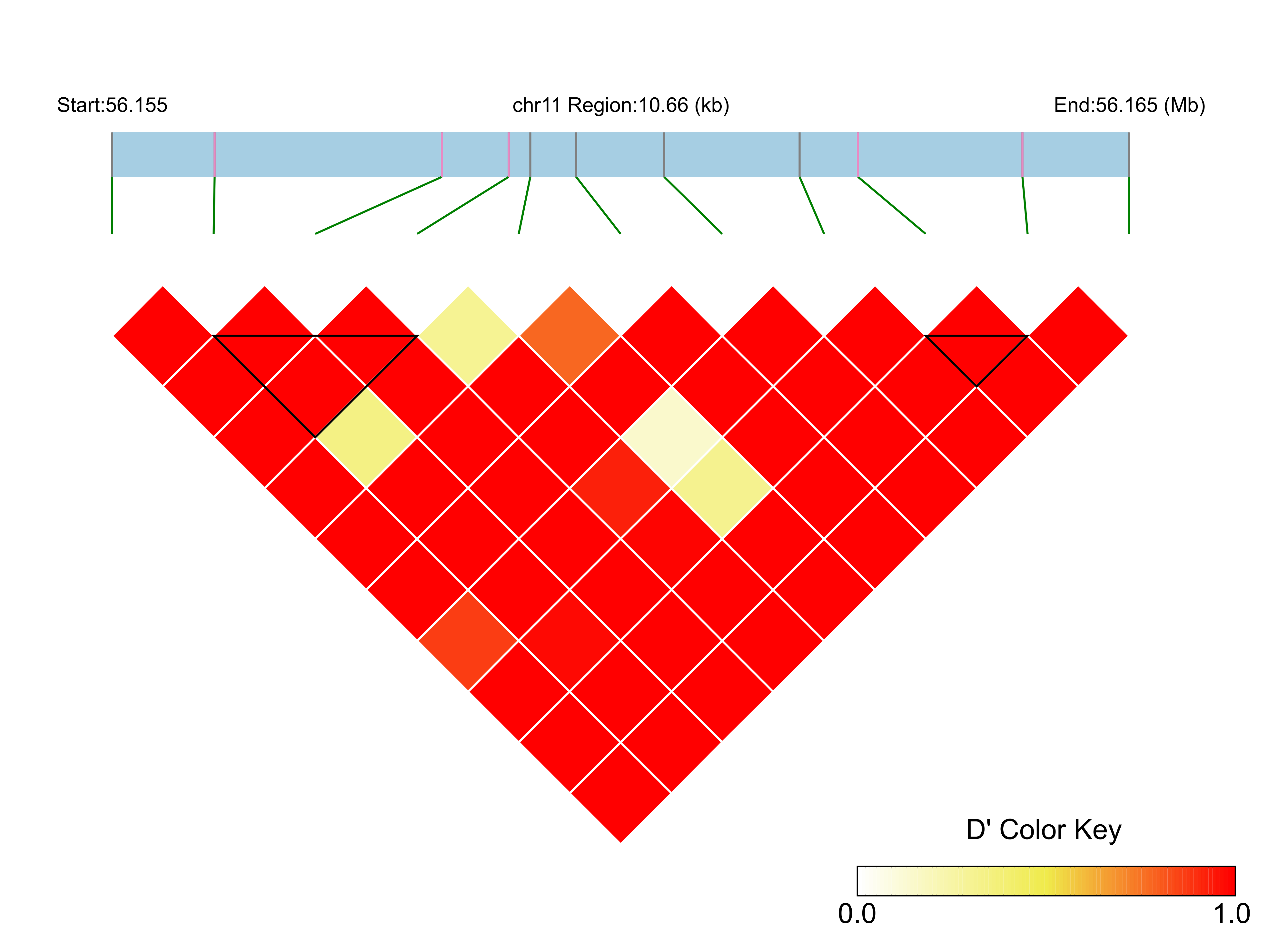 LD