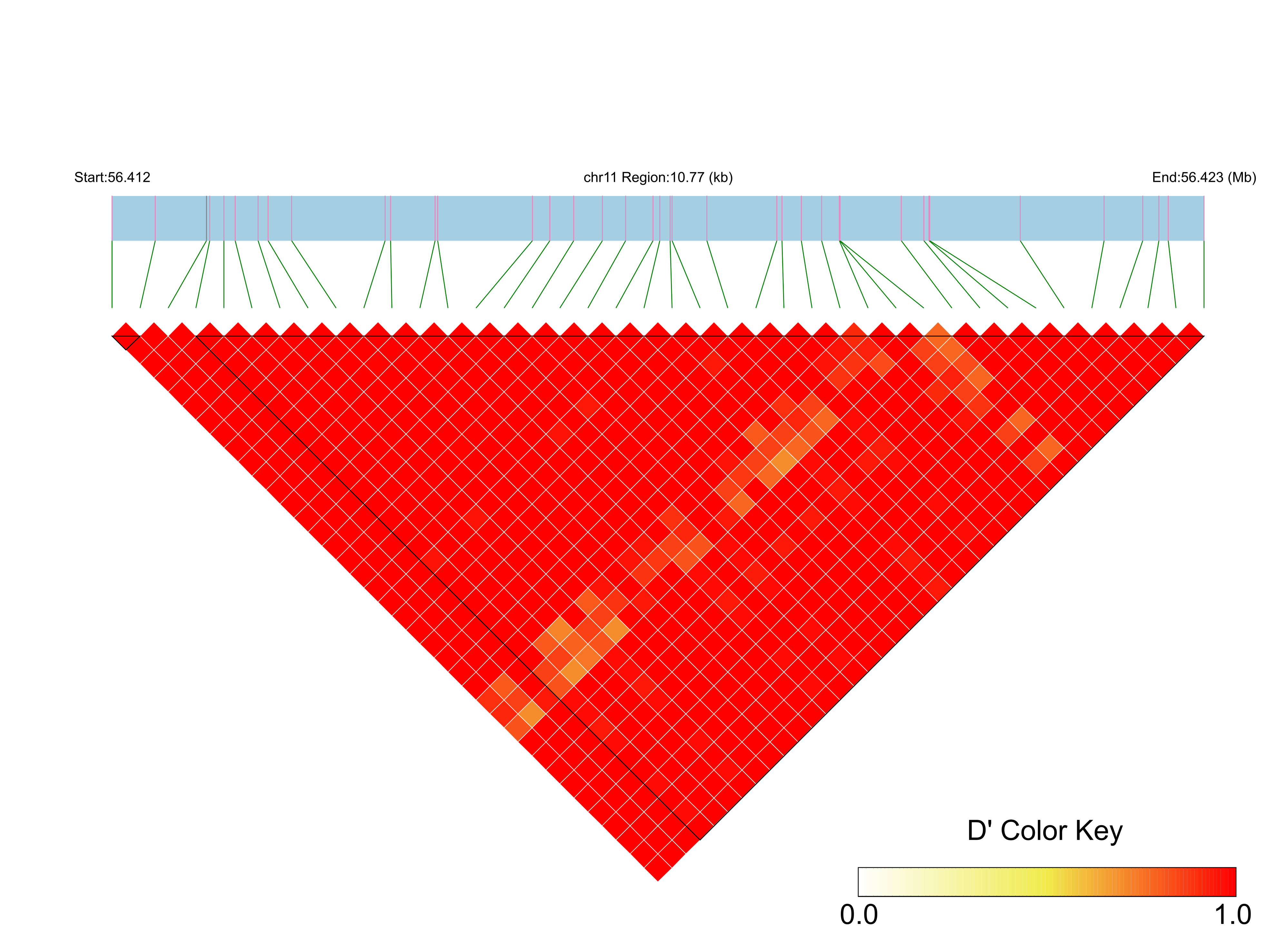 LD