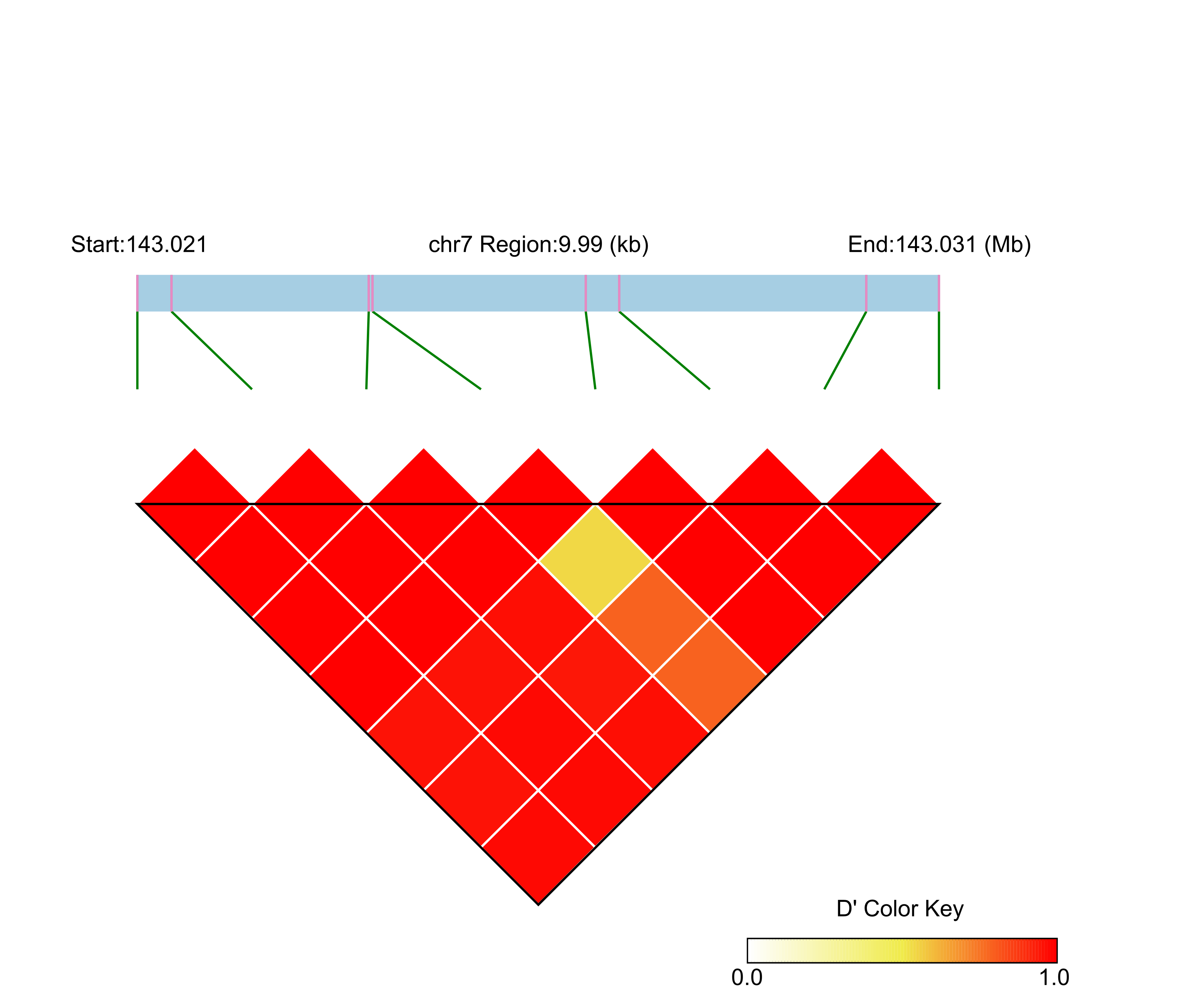 LD