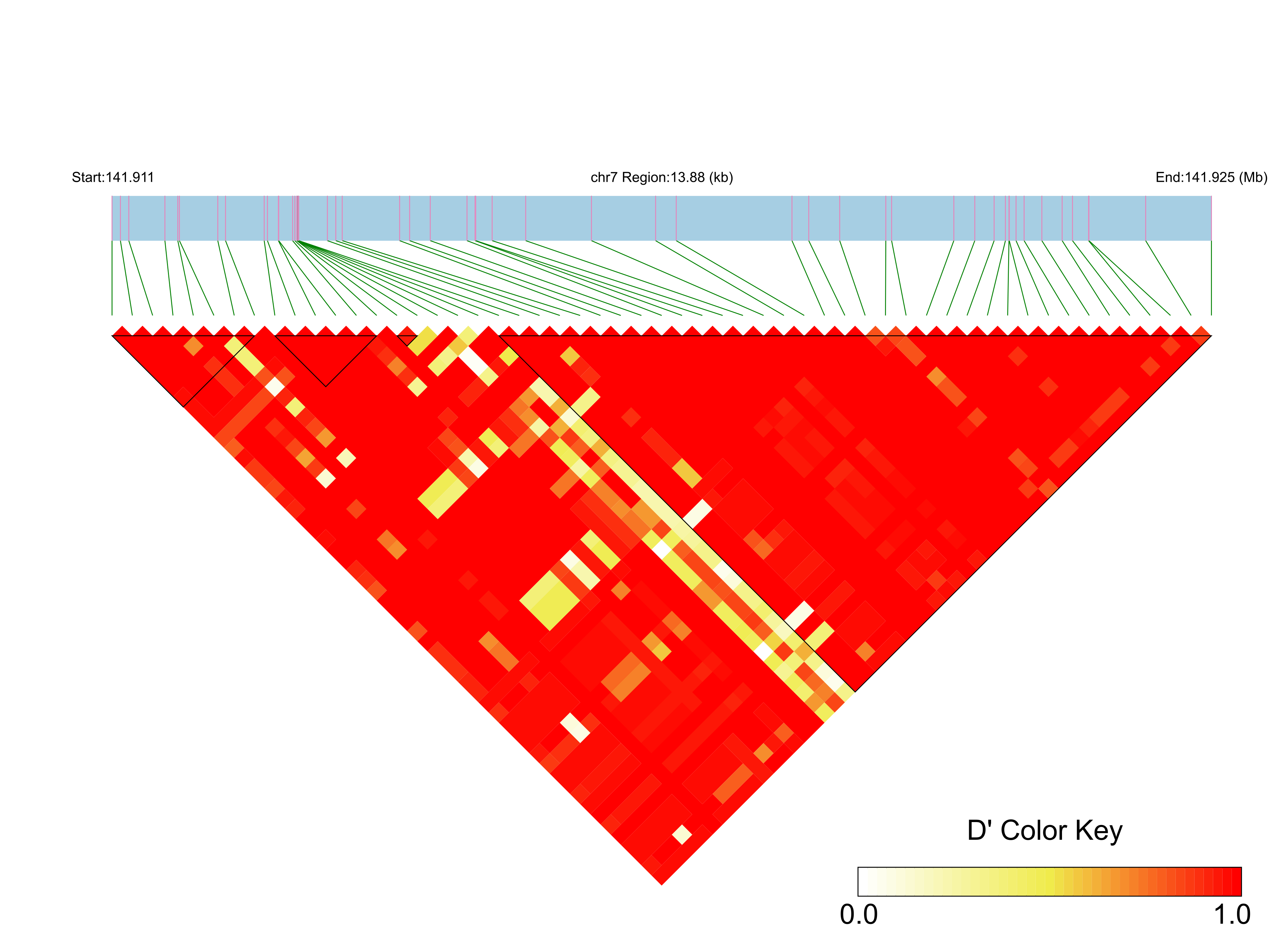 LD