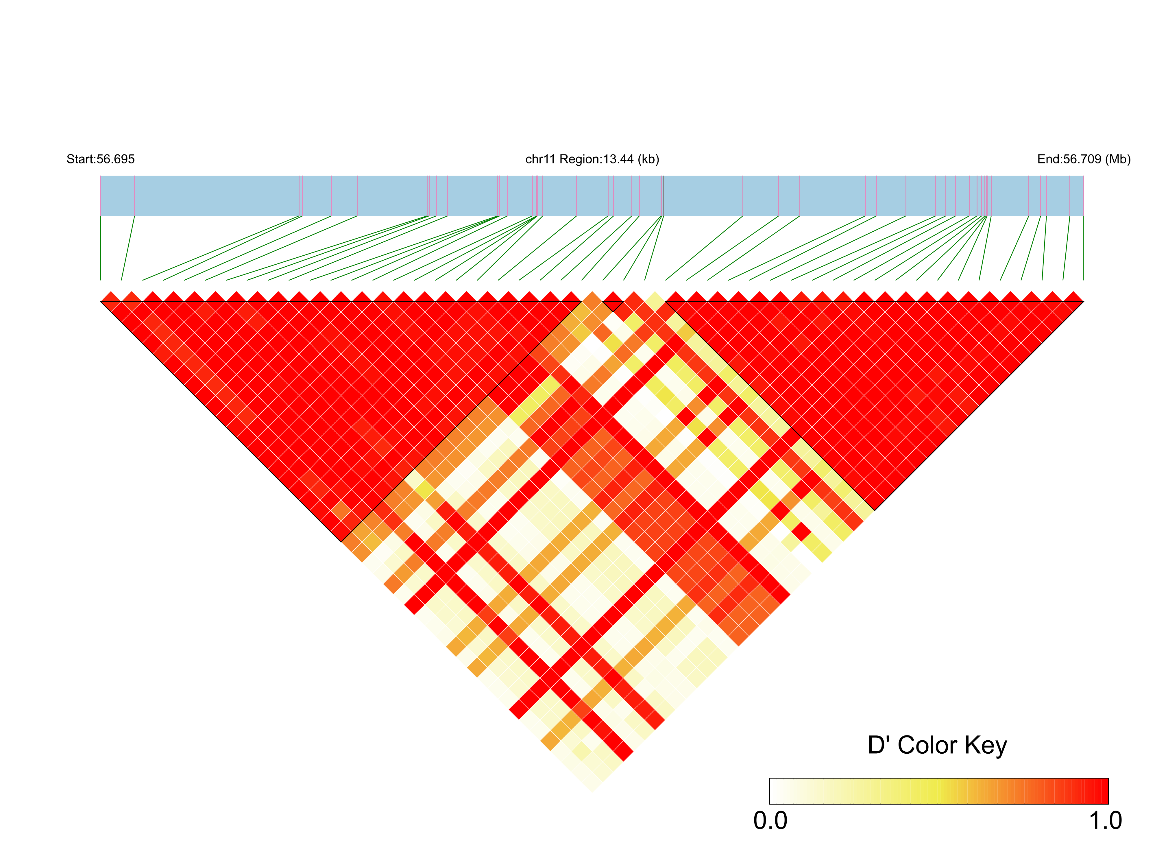 LD