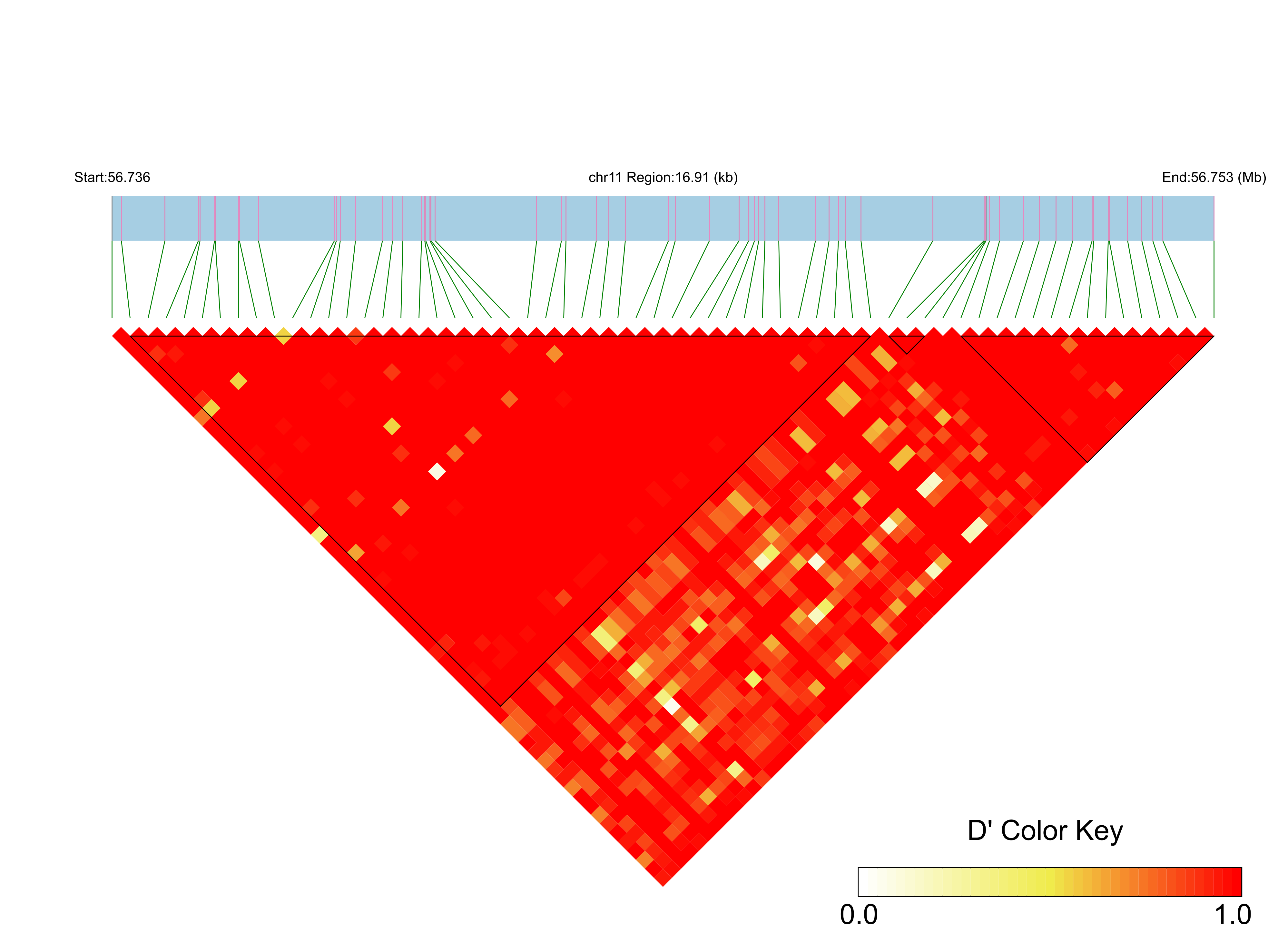 LD