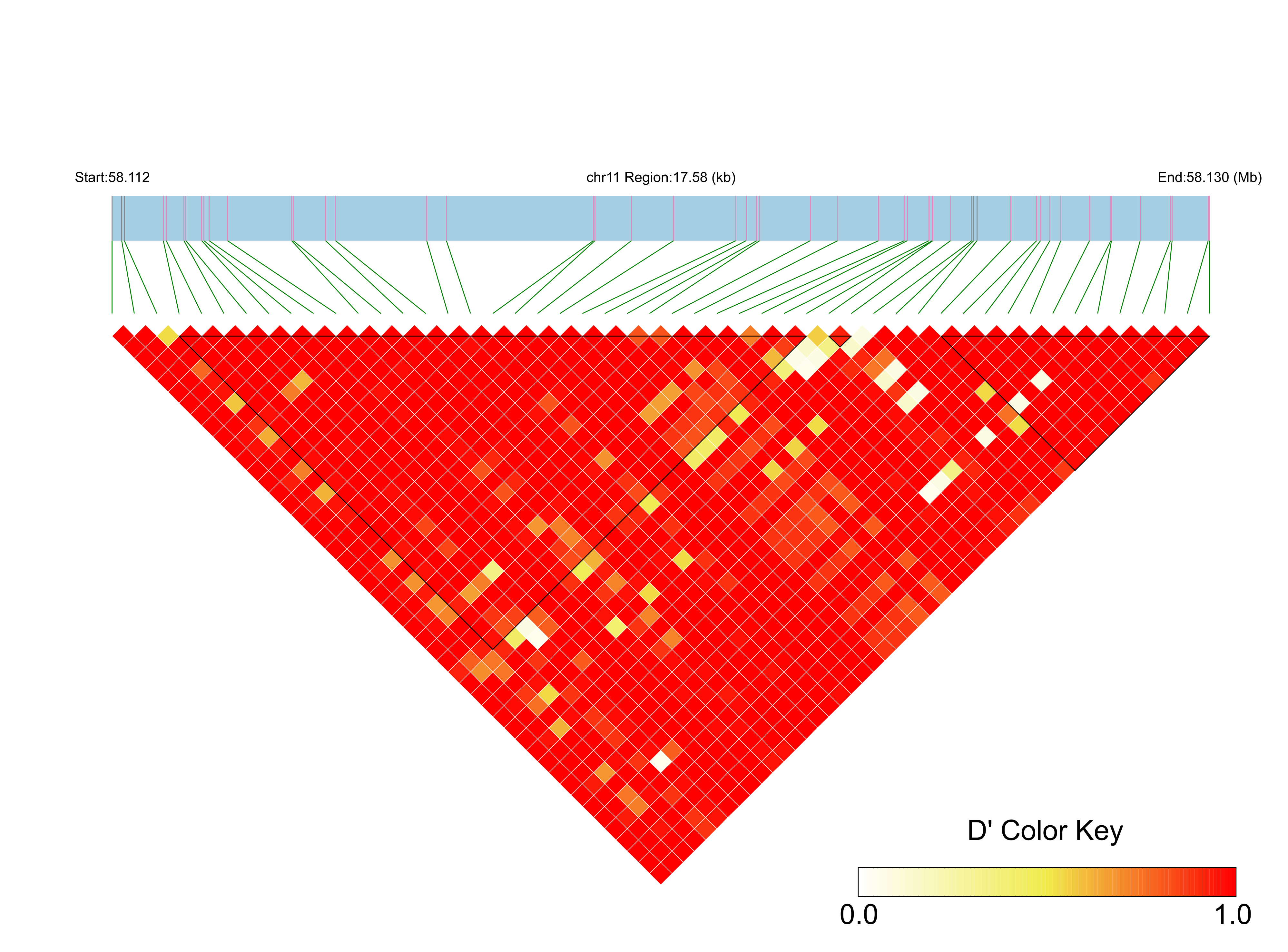 LD