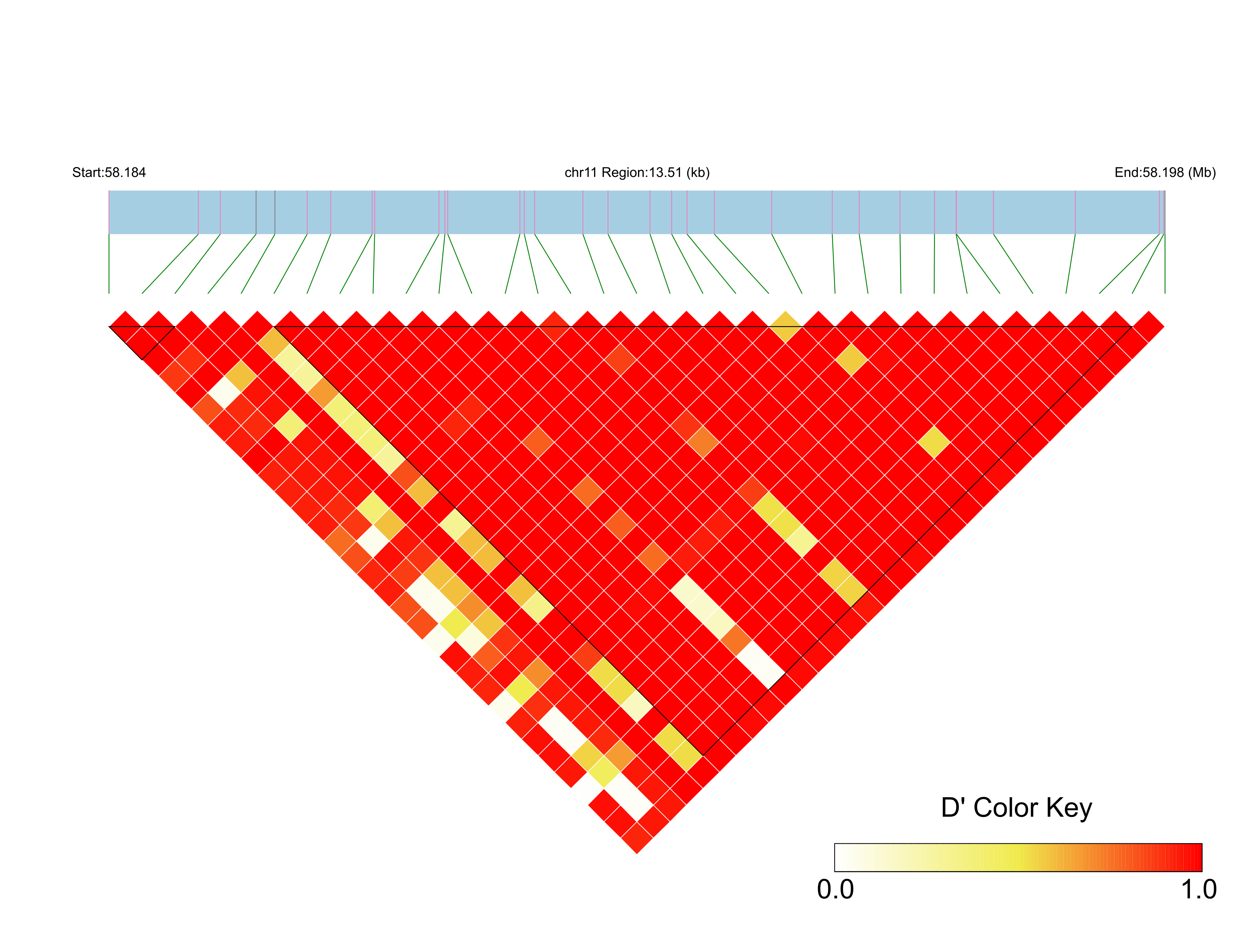 LD