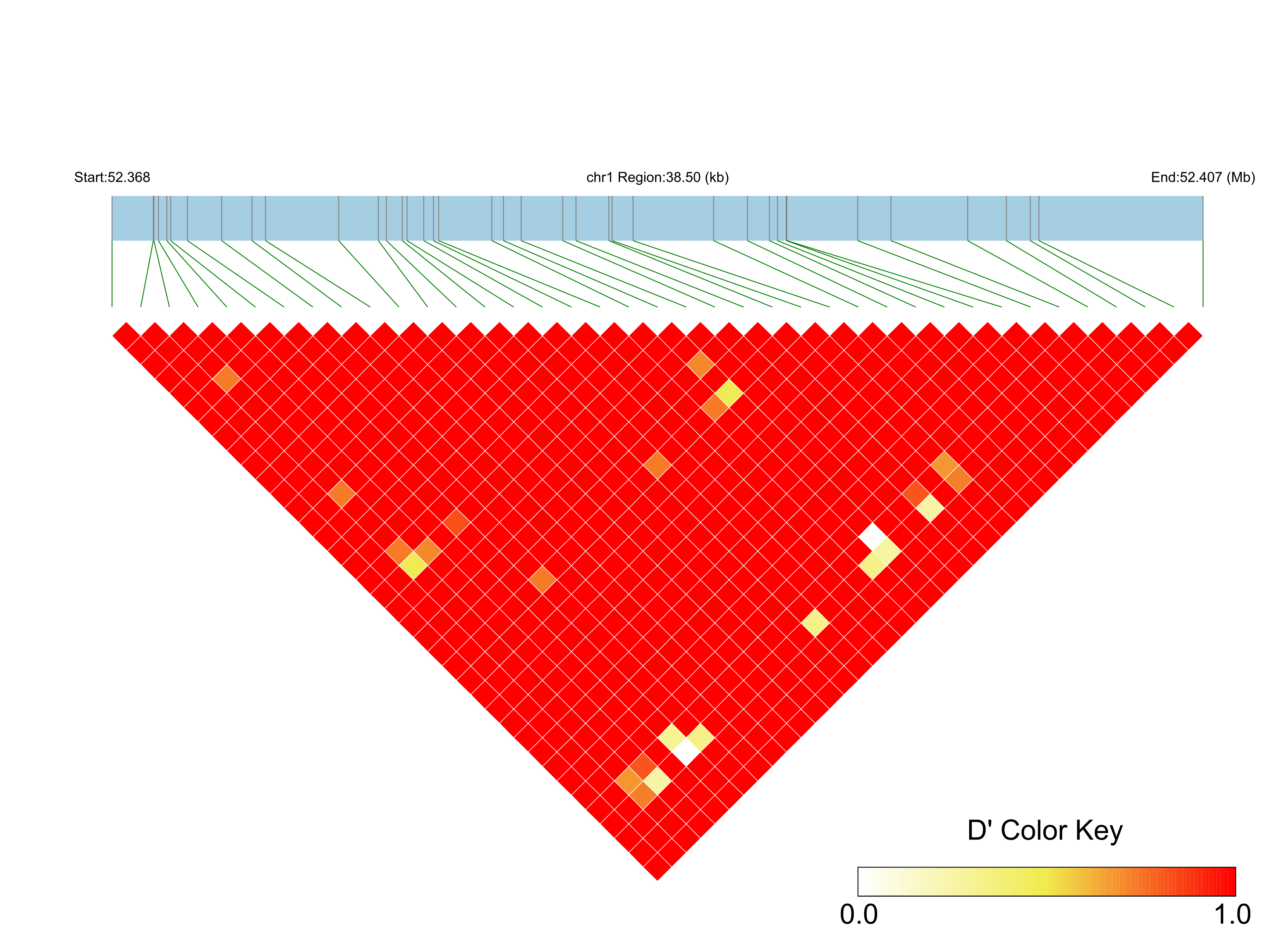 LD