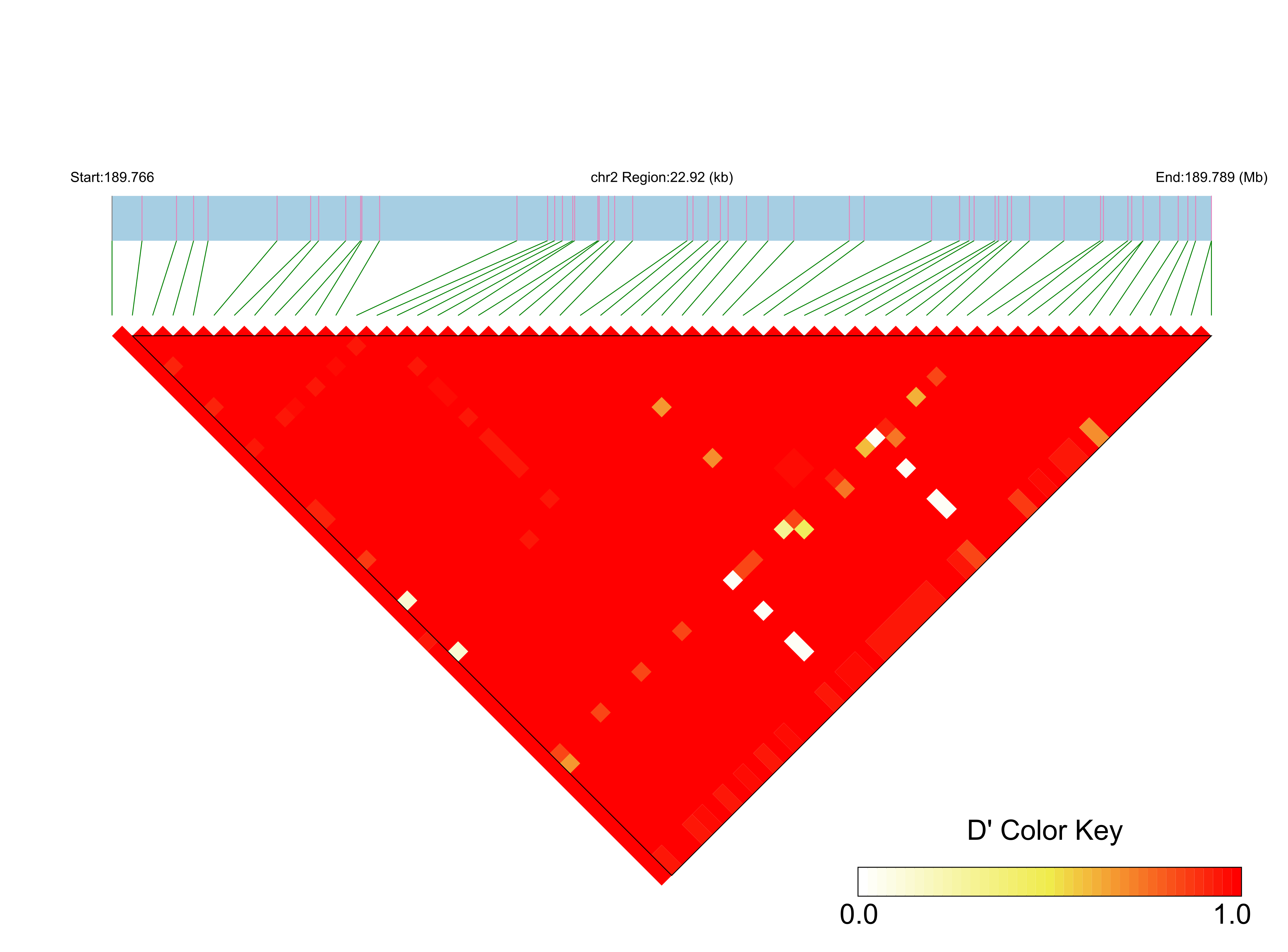 LD