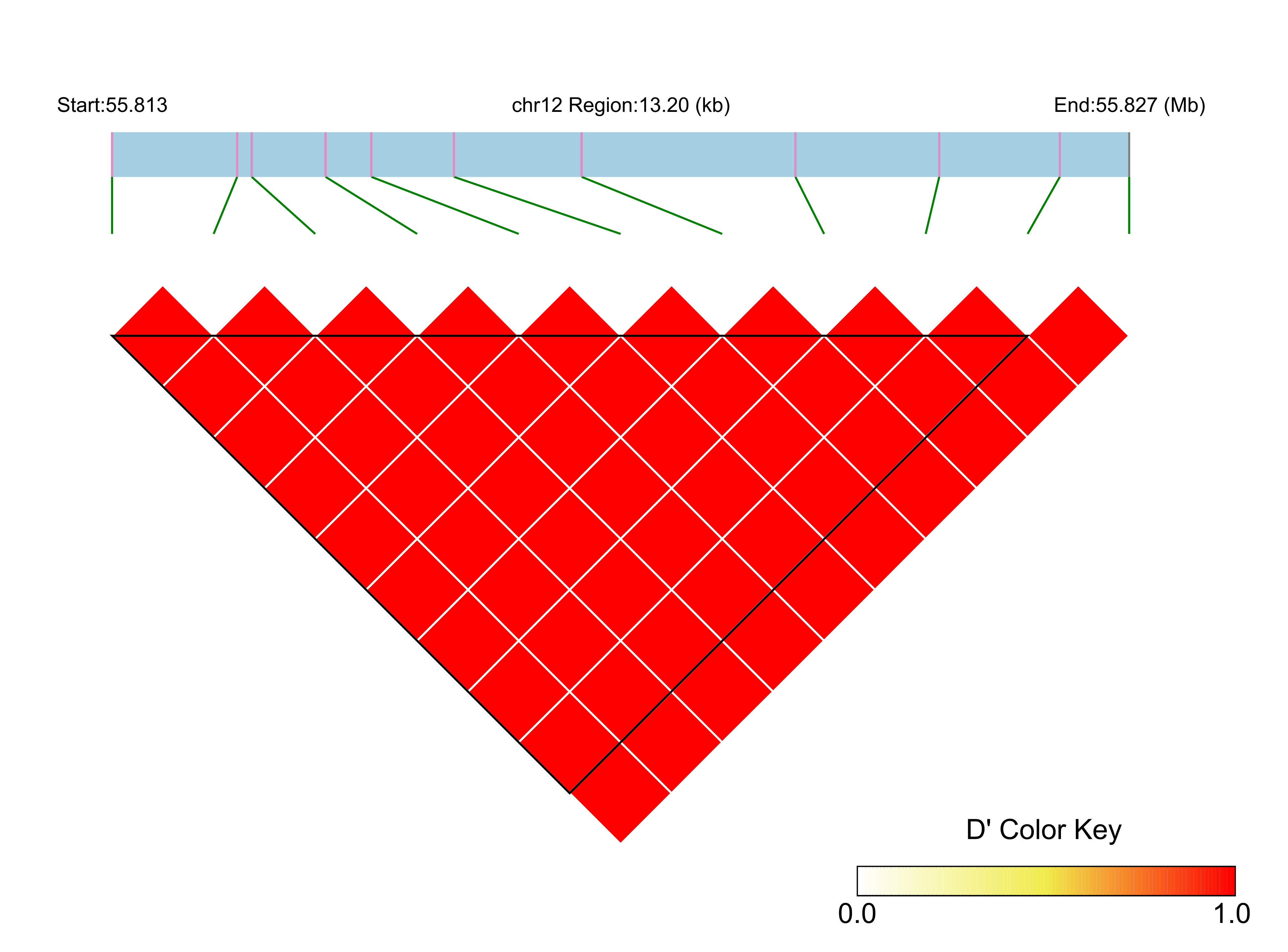 LD