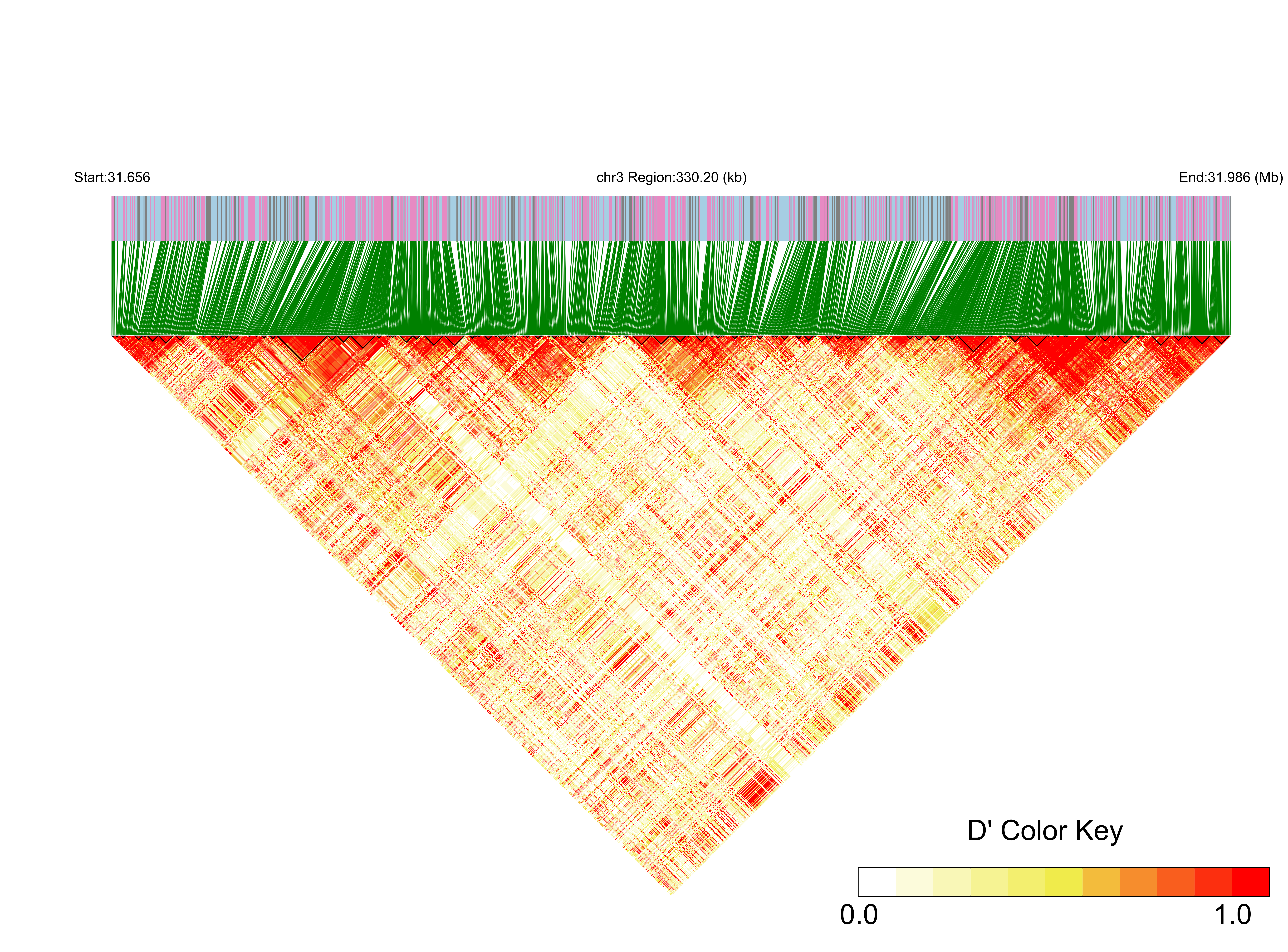 LD