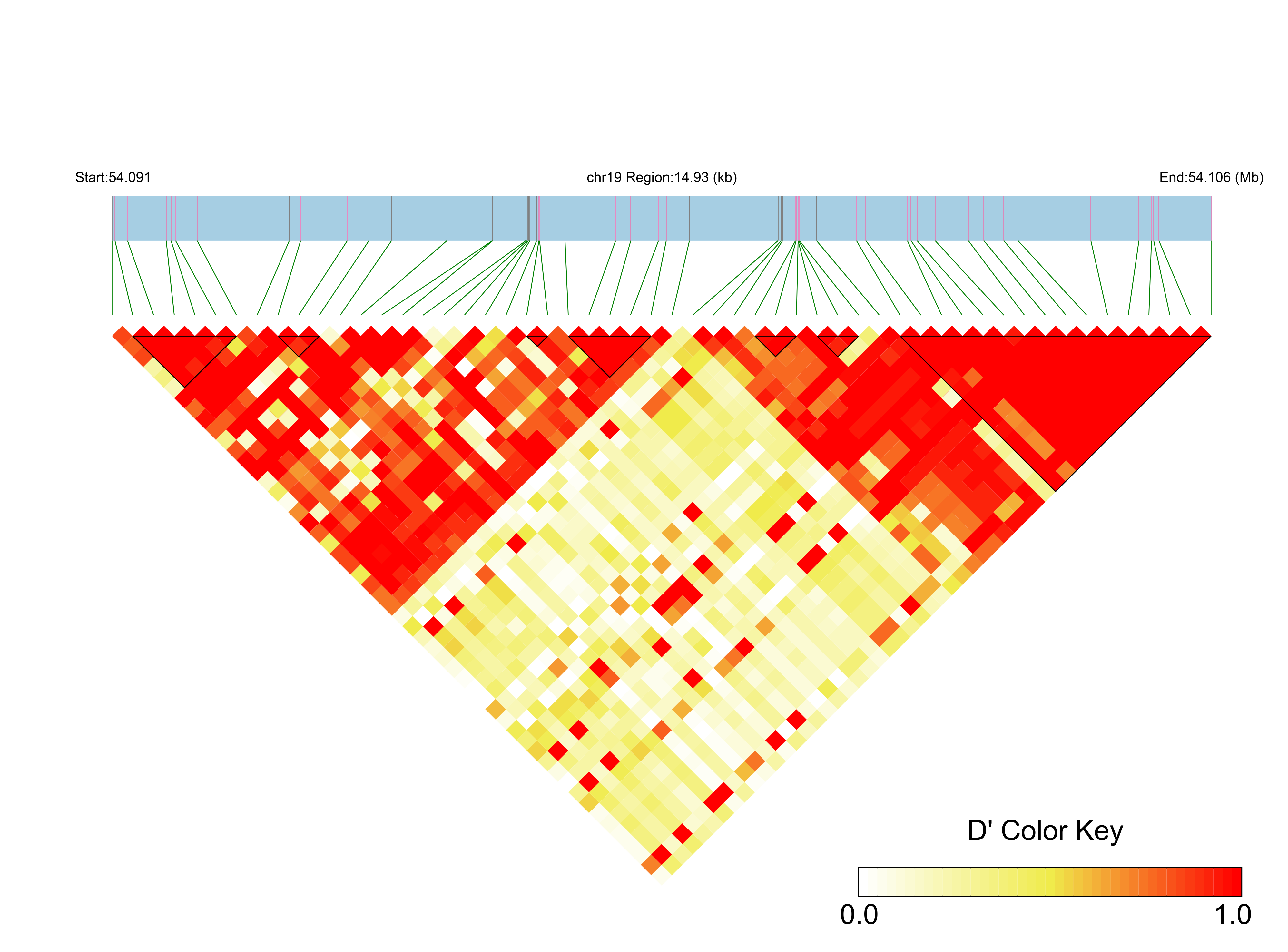LD