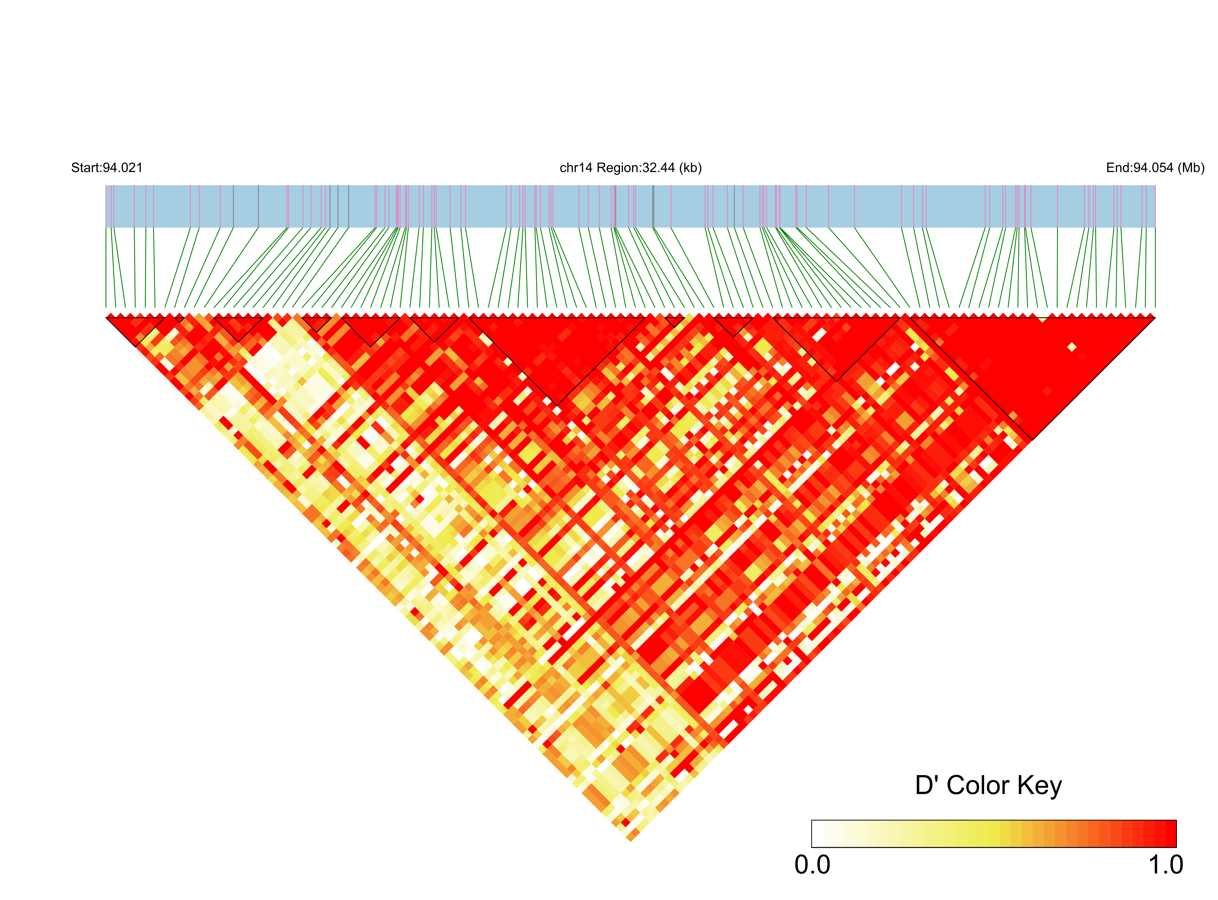 LD