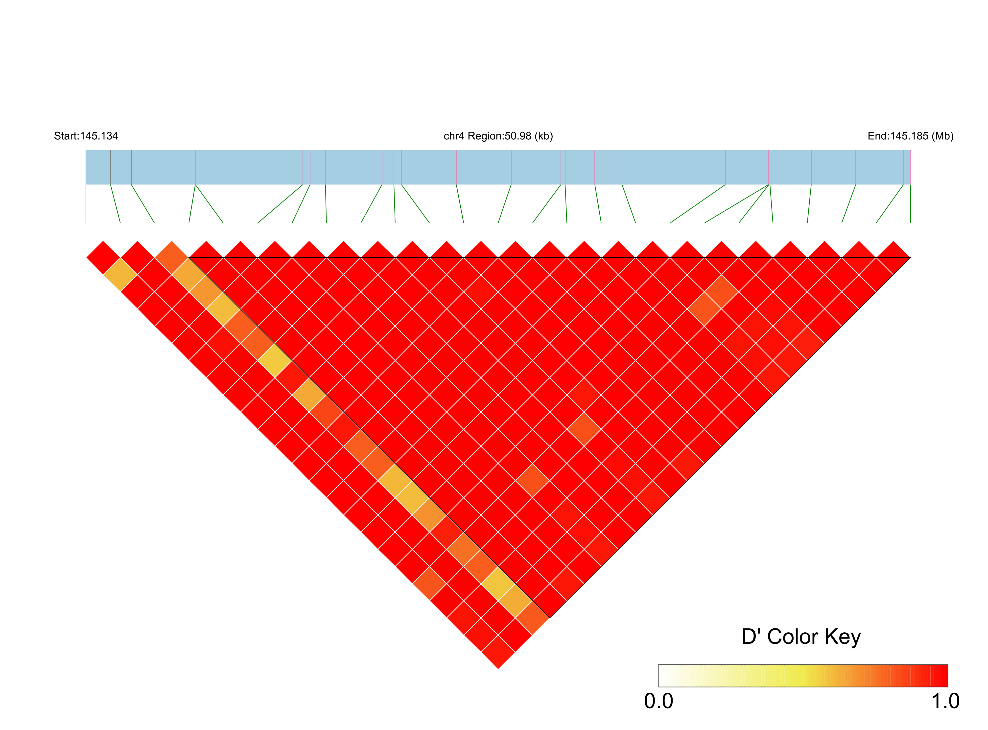 LD