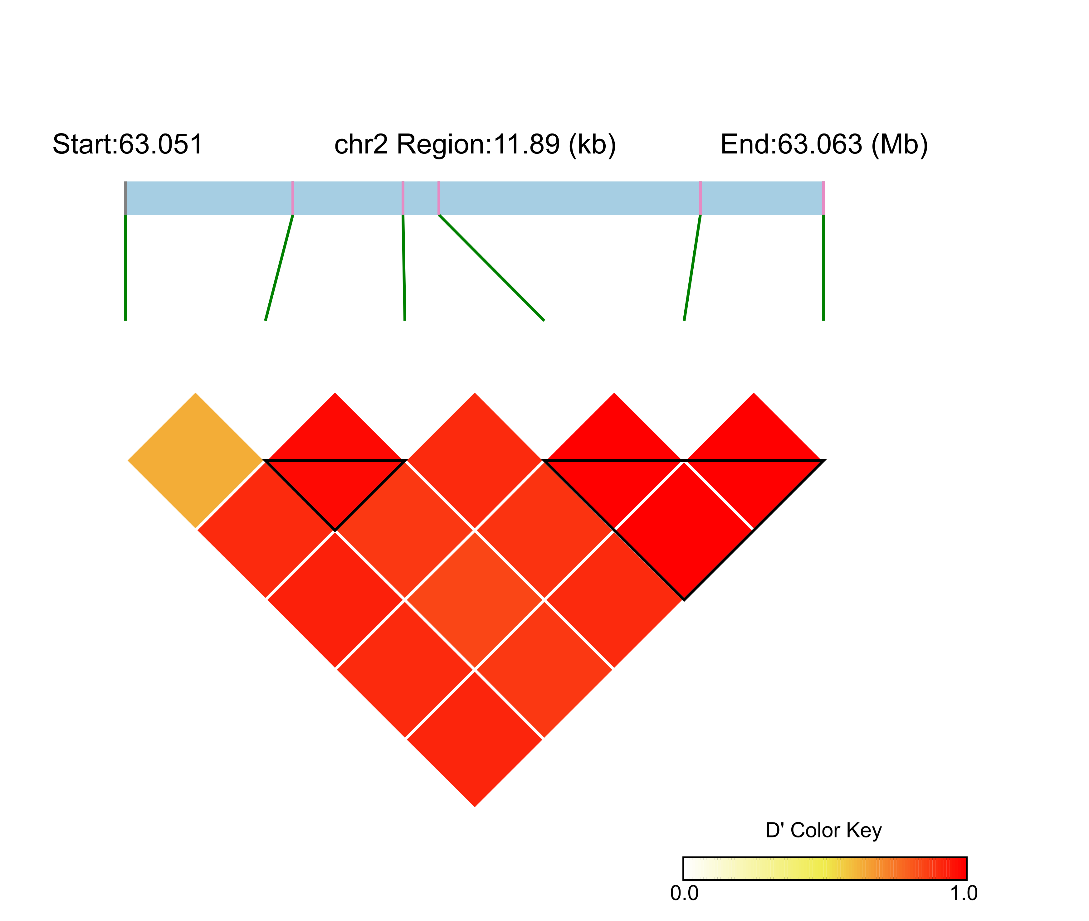 LD