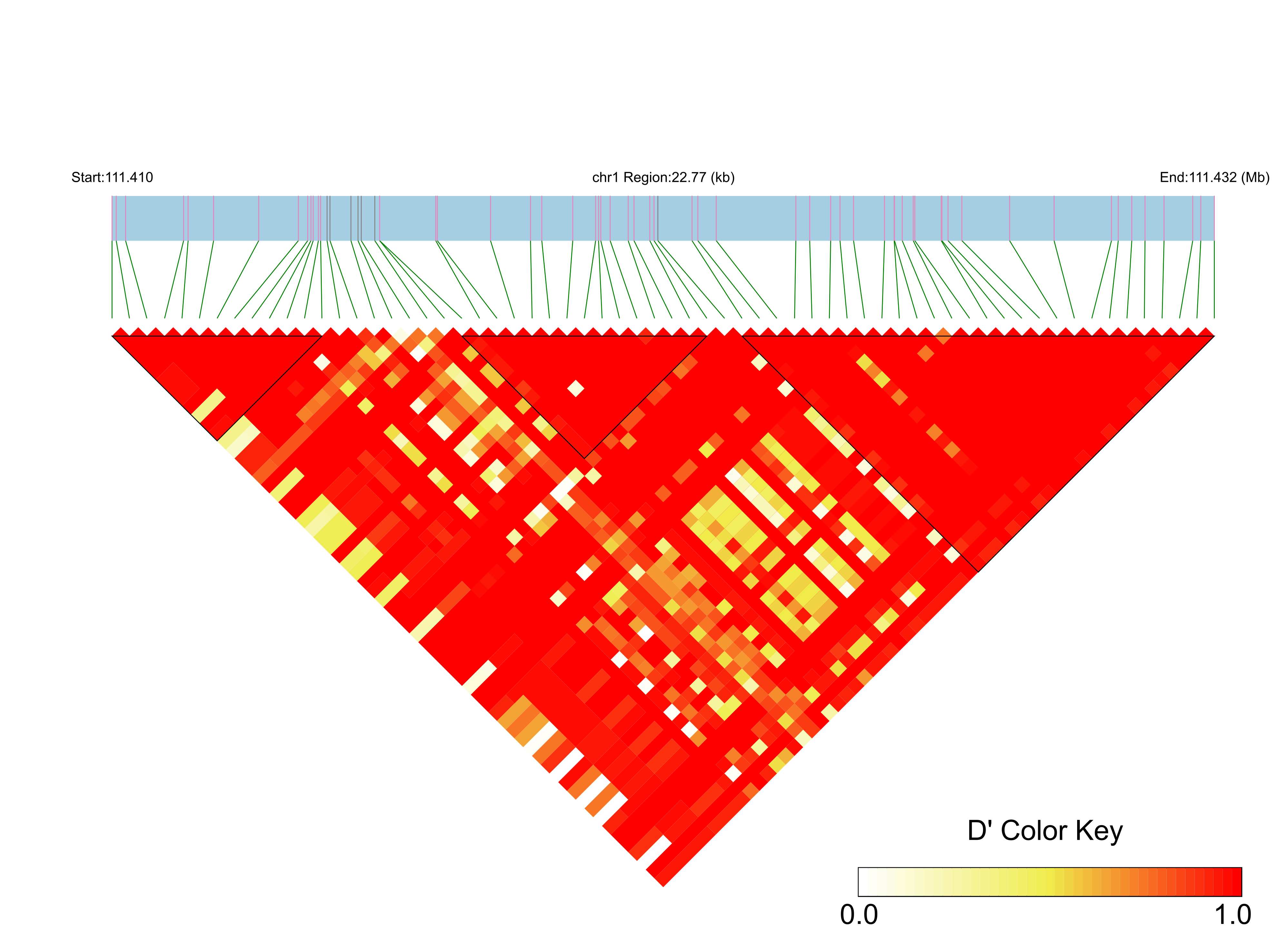 LD