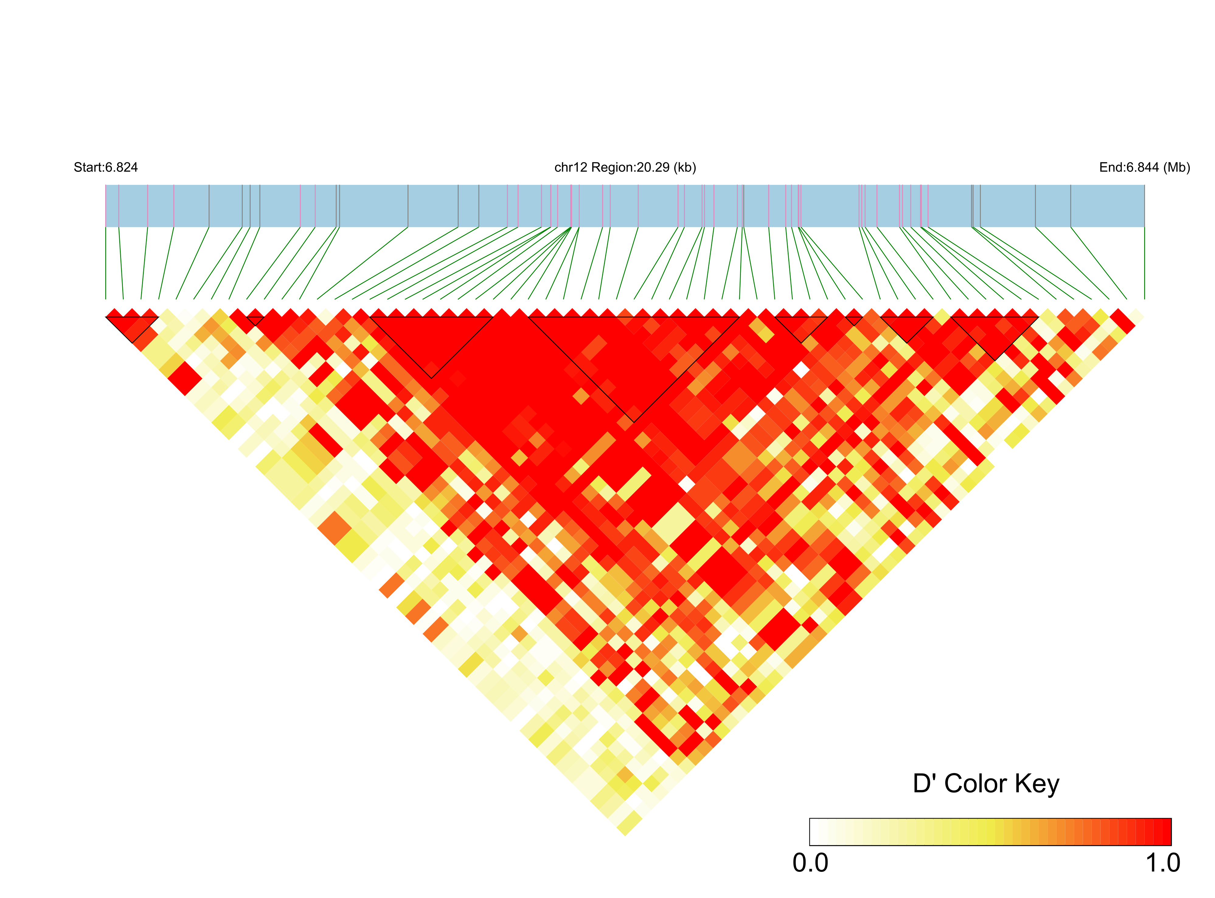 LD