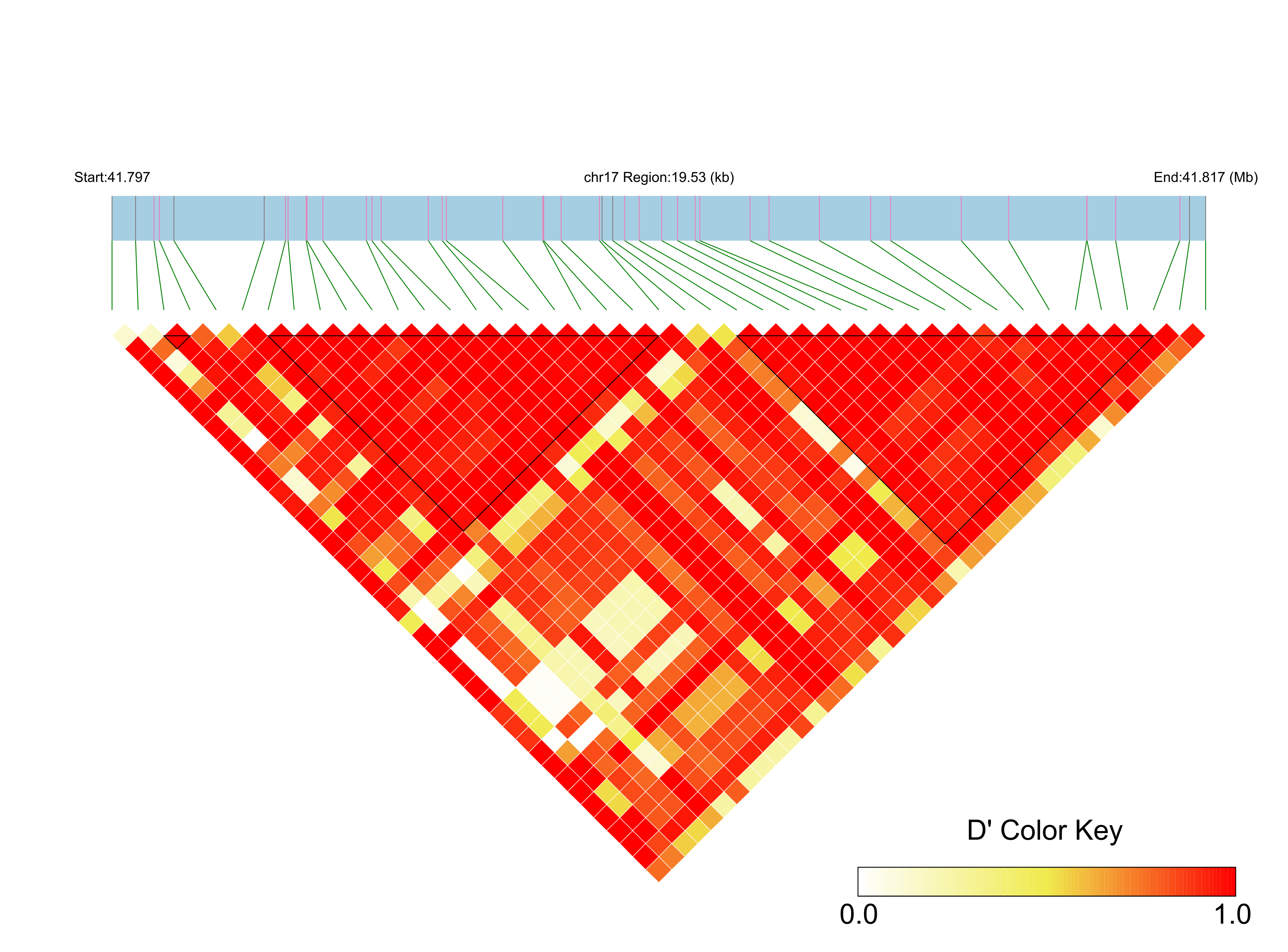 LD