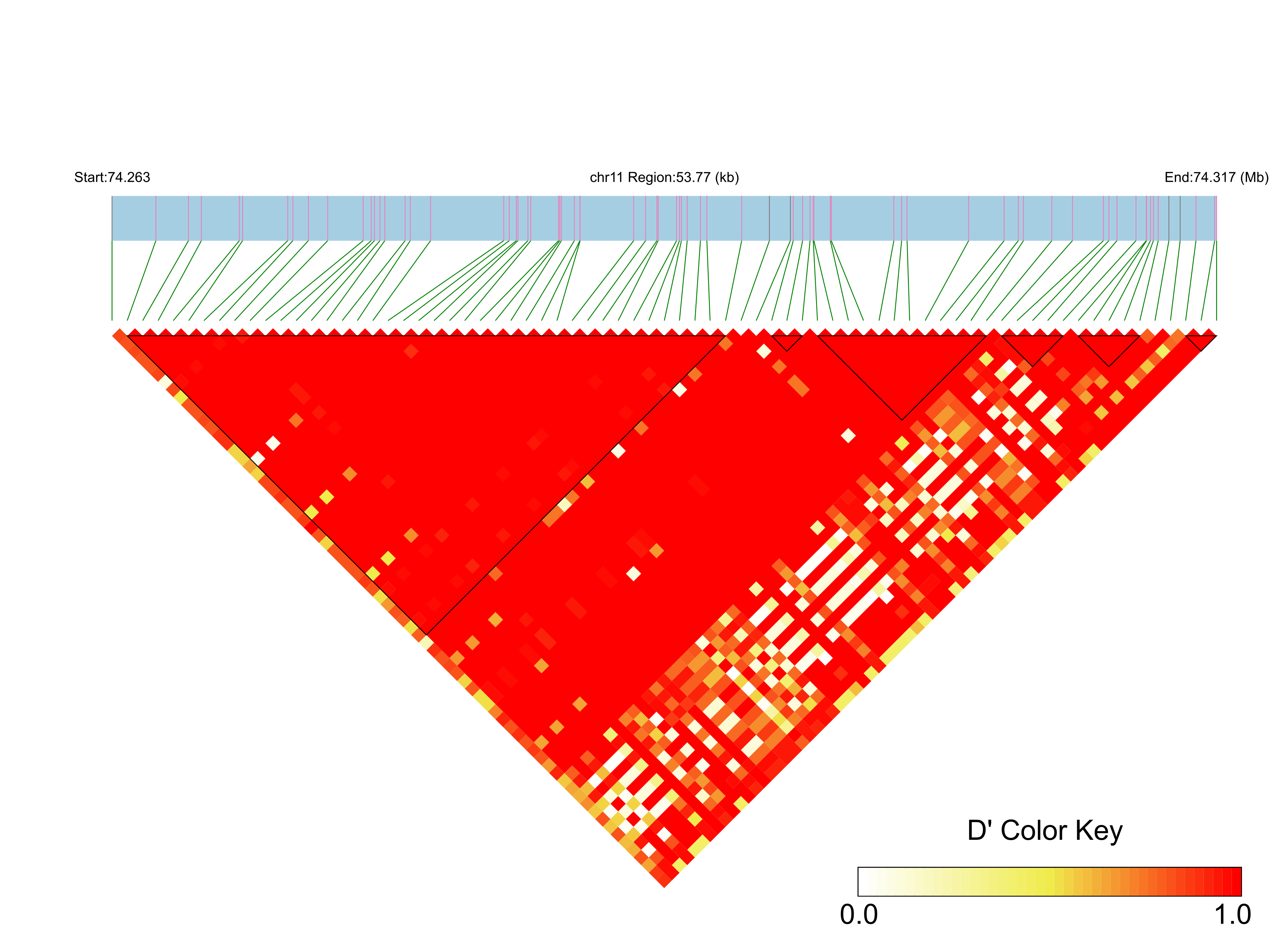 LD