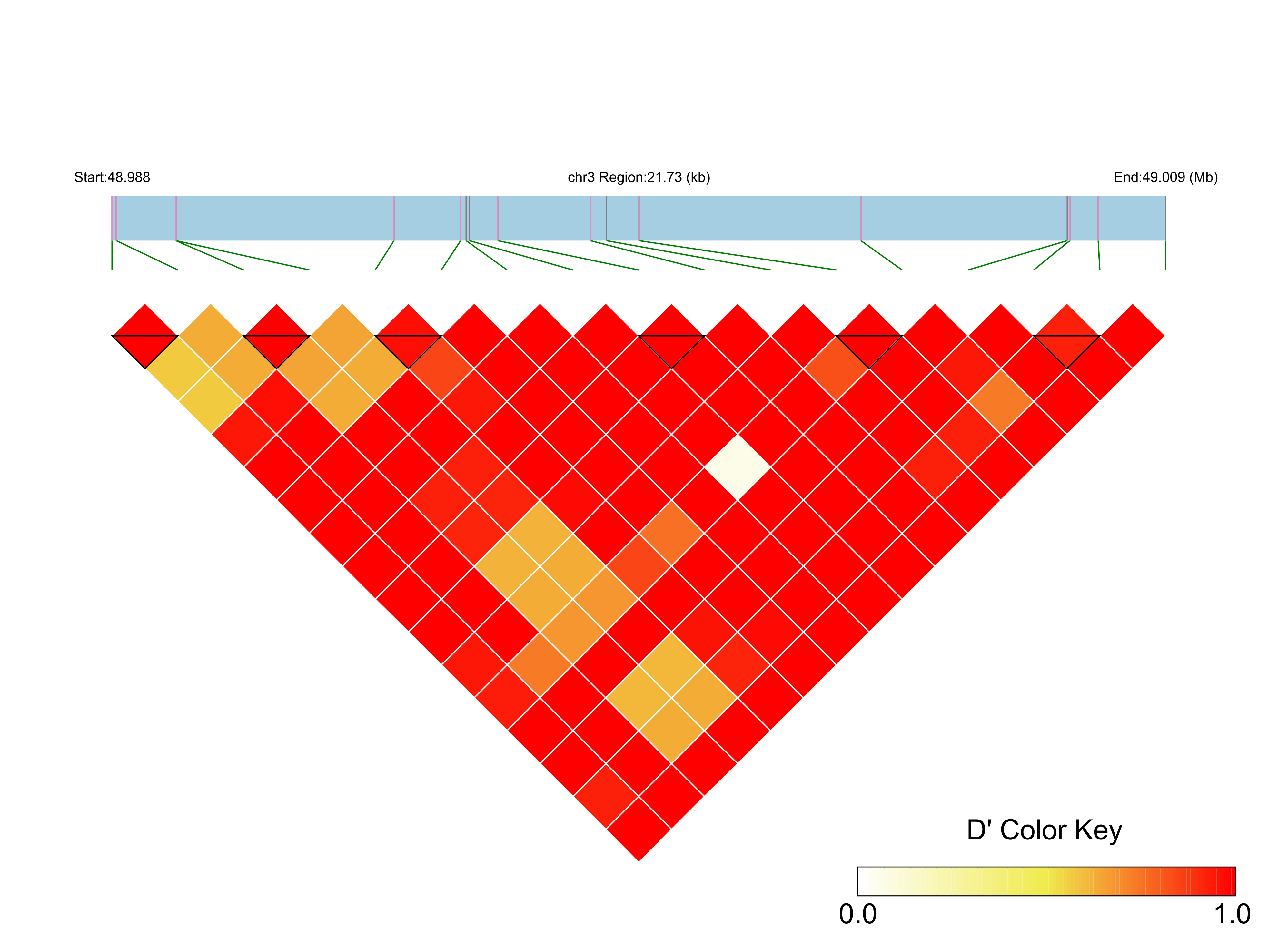 LD
