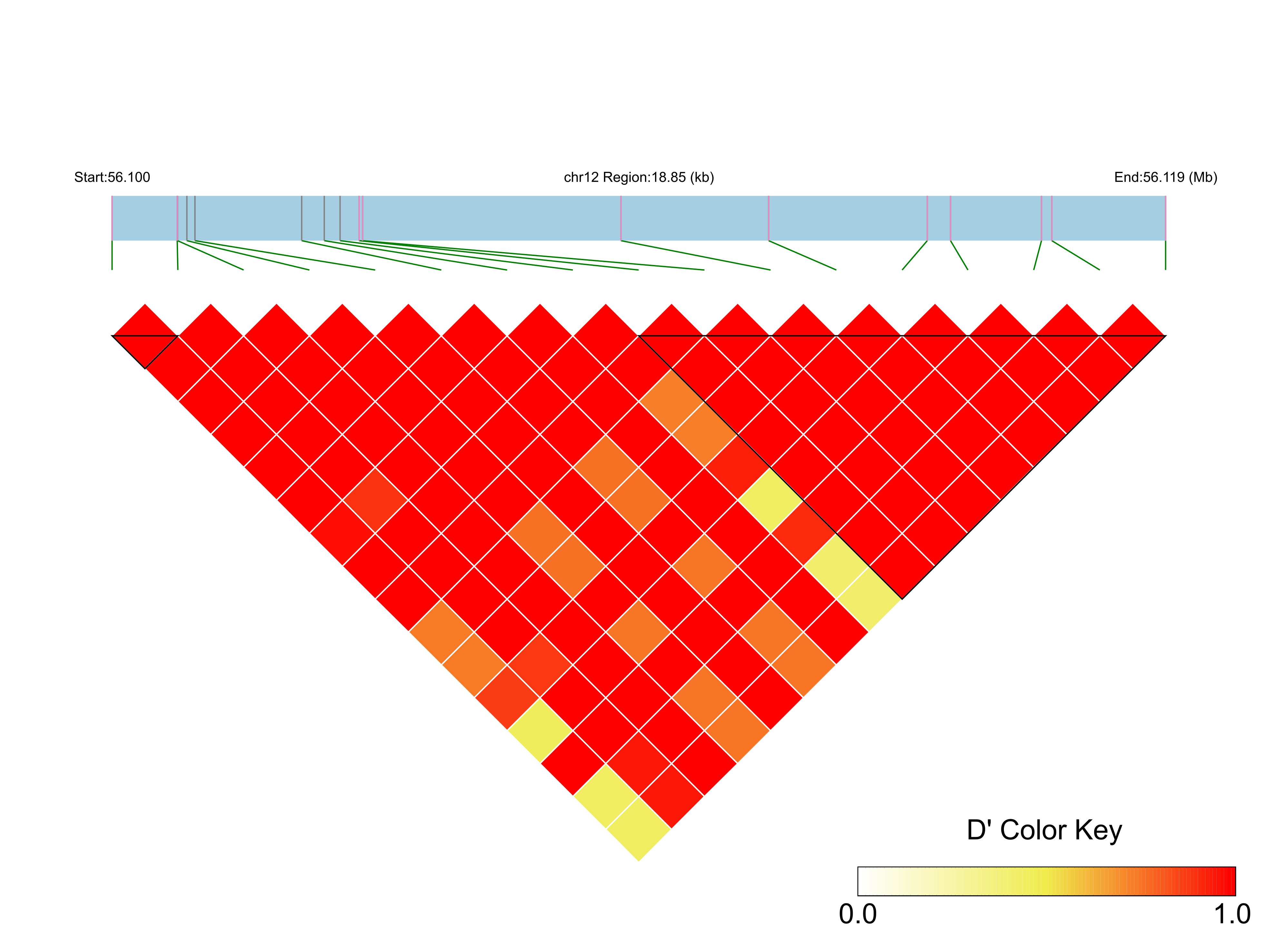 LD