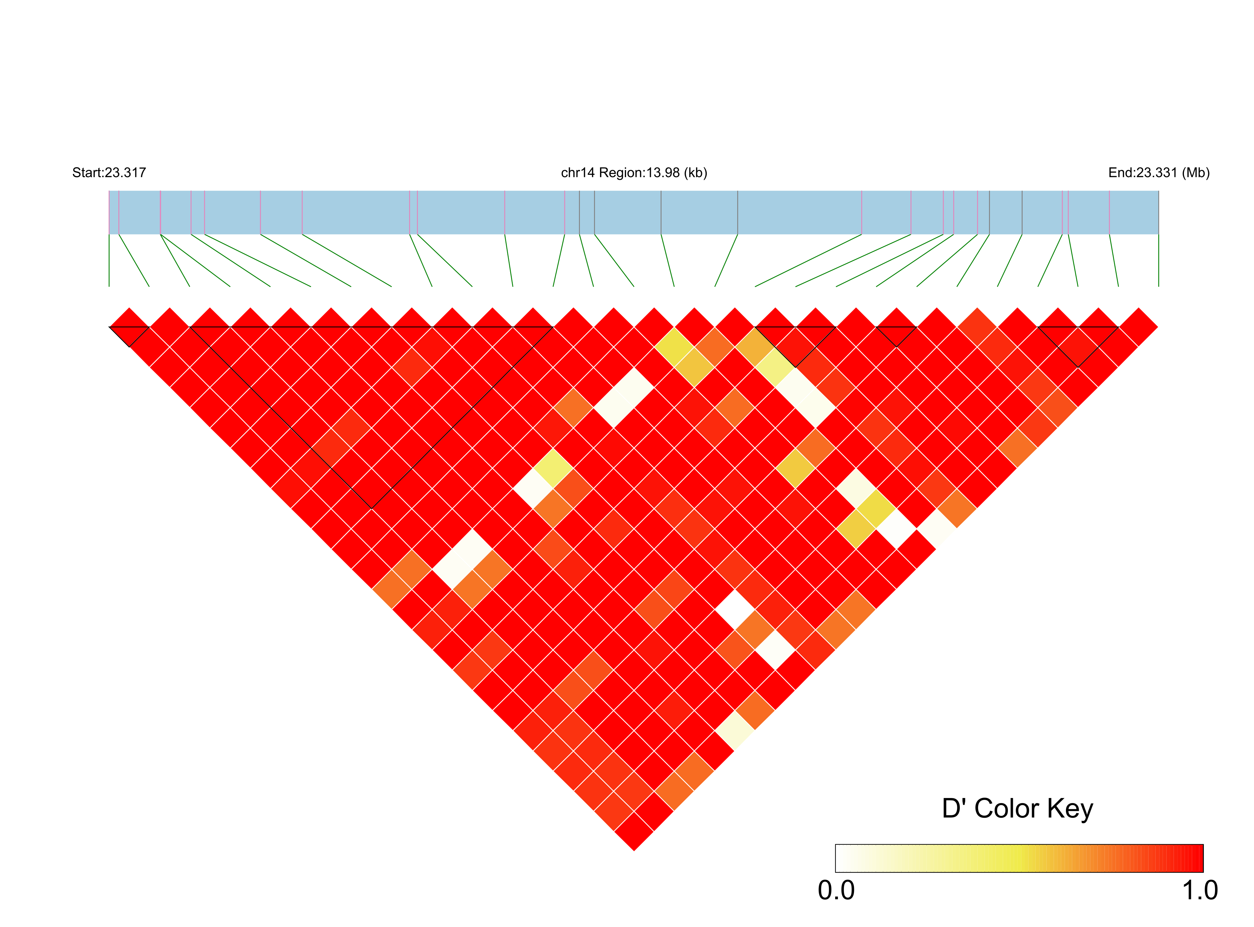 LD