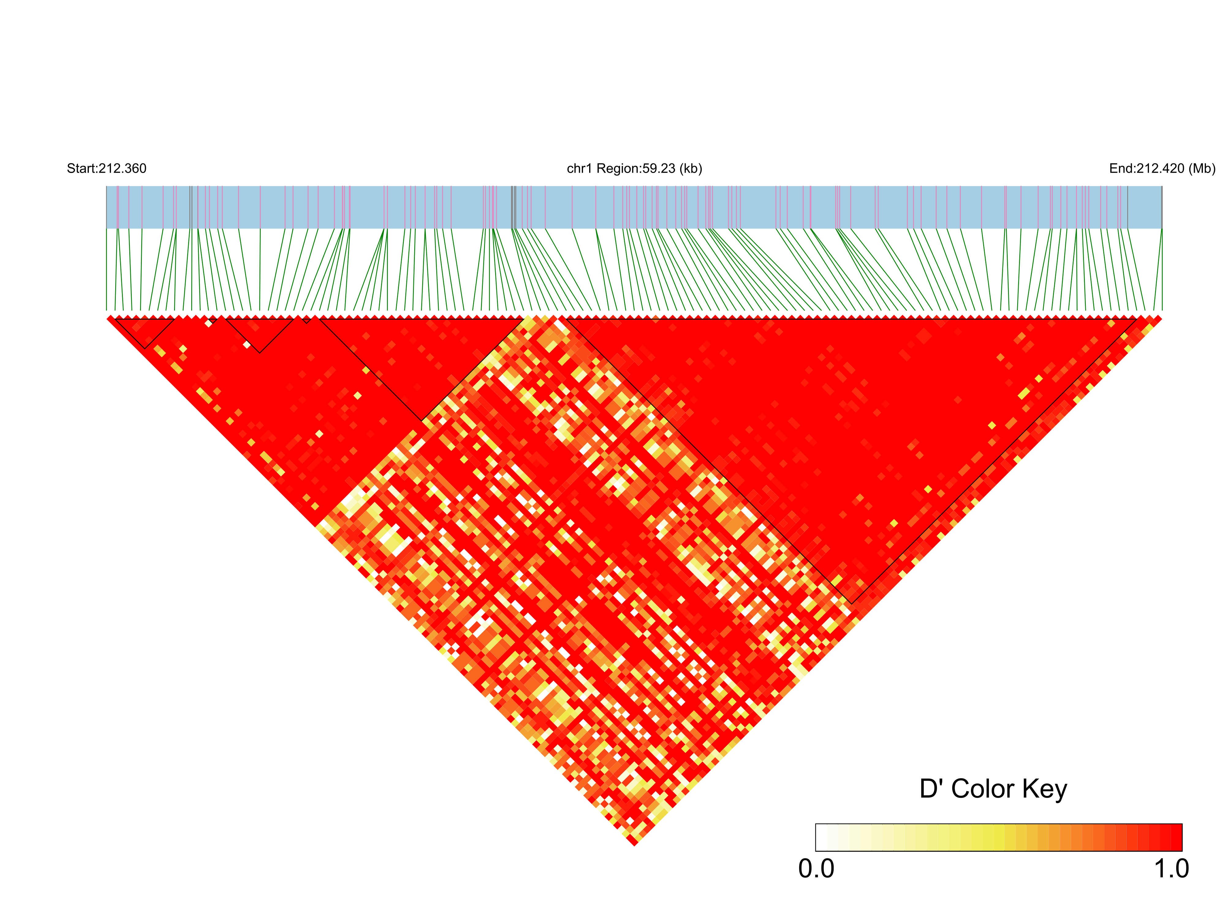 LD