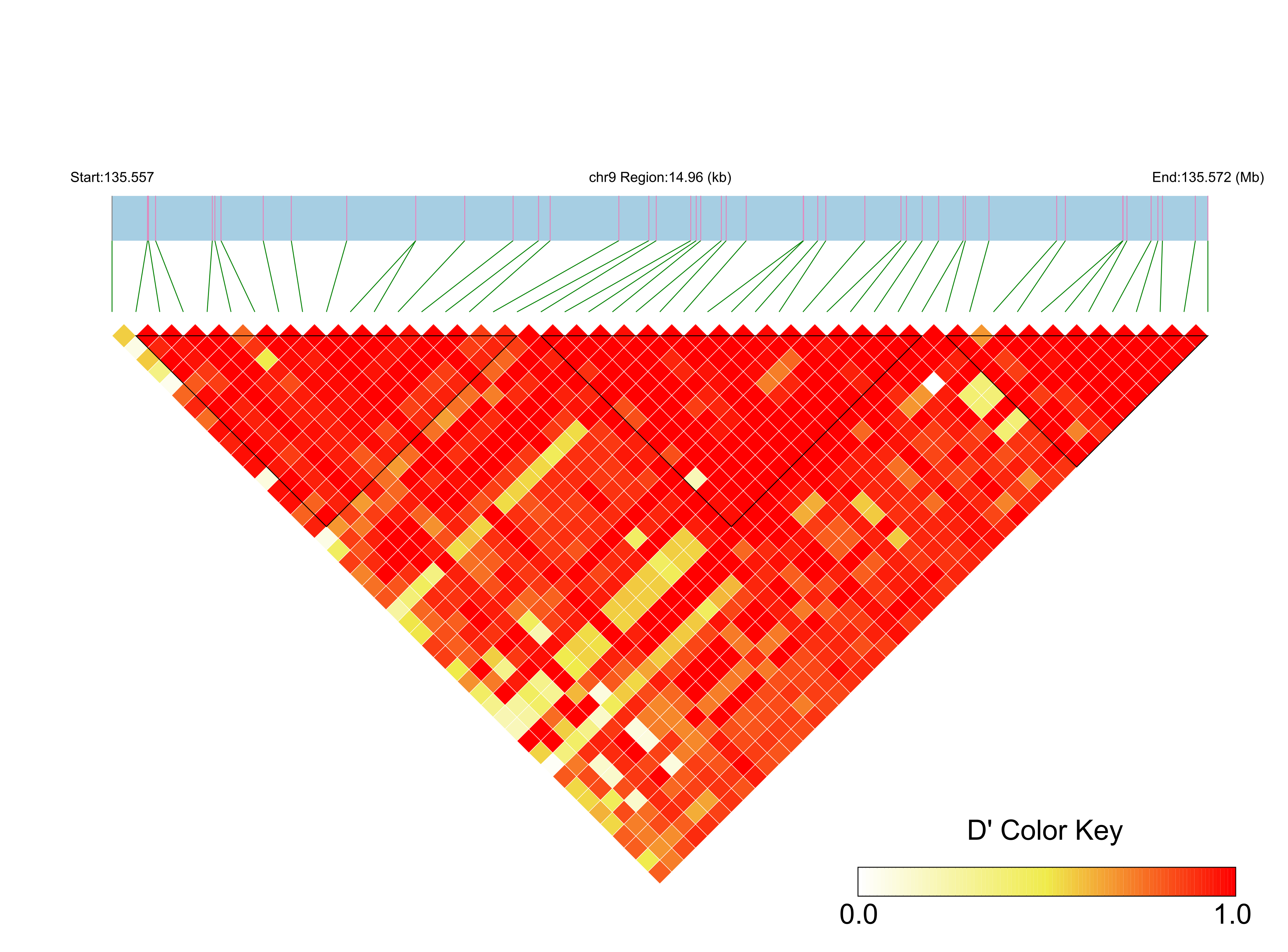LD