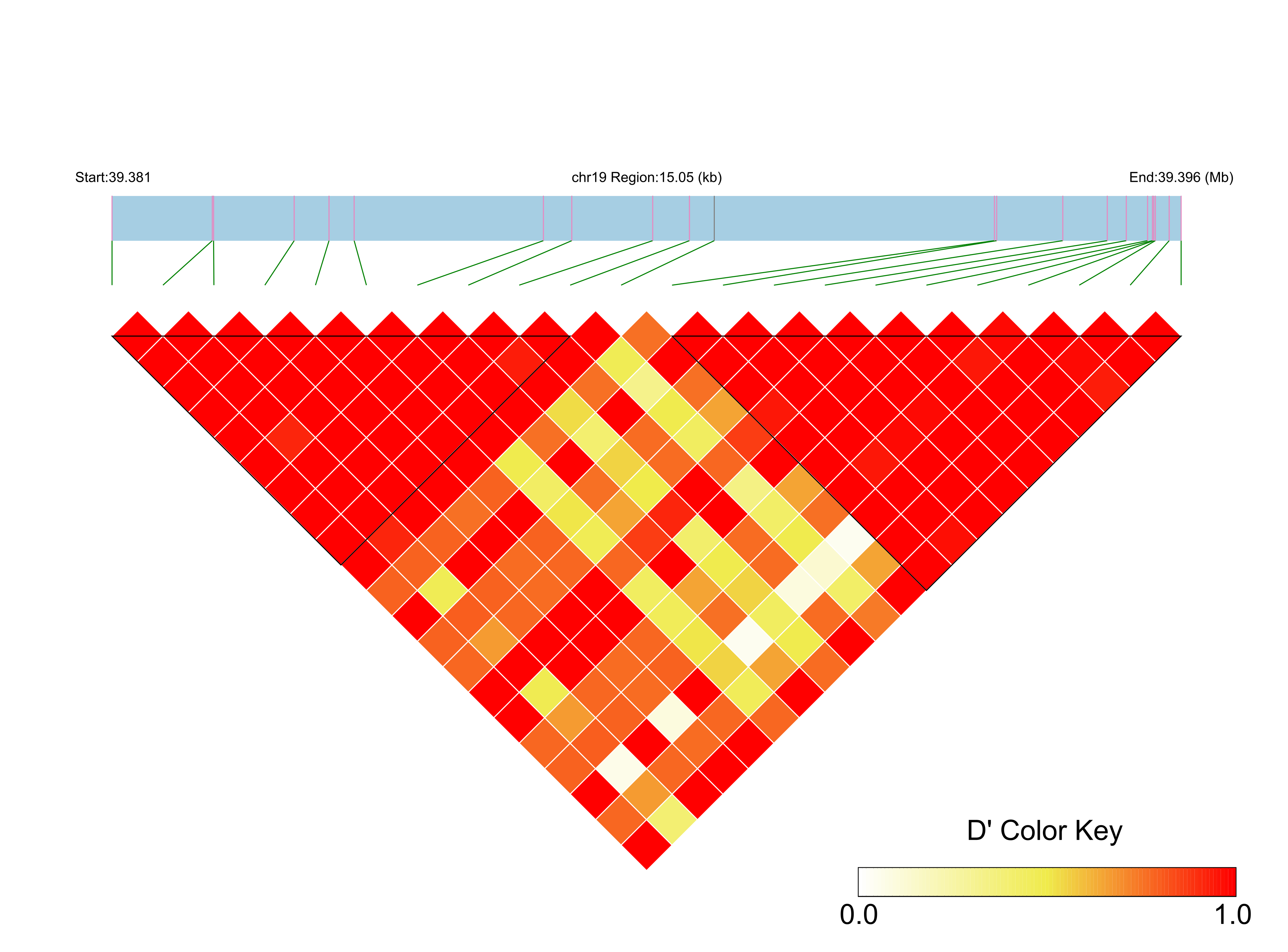 LD