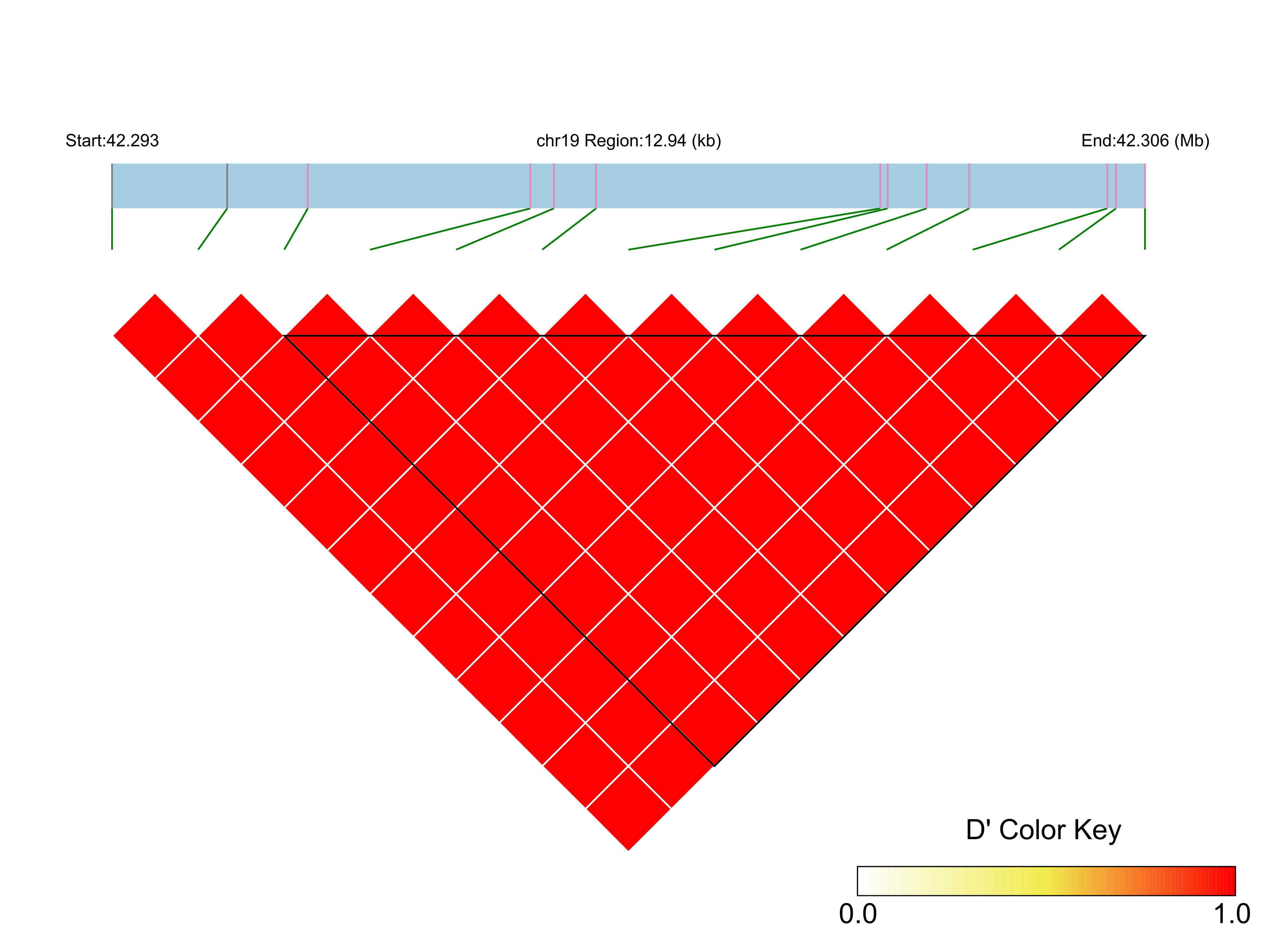 LD
