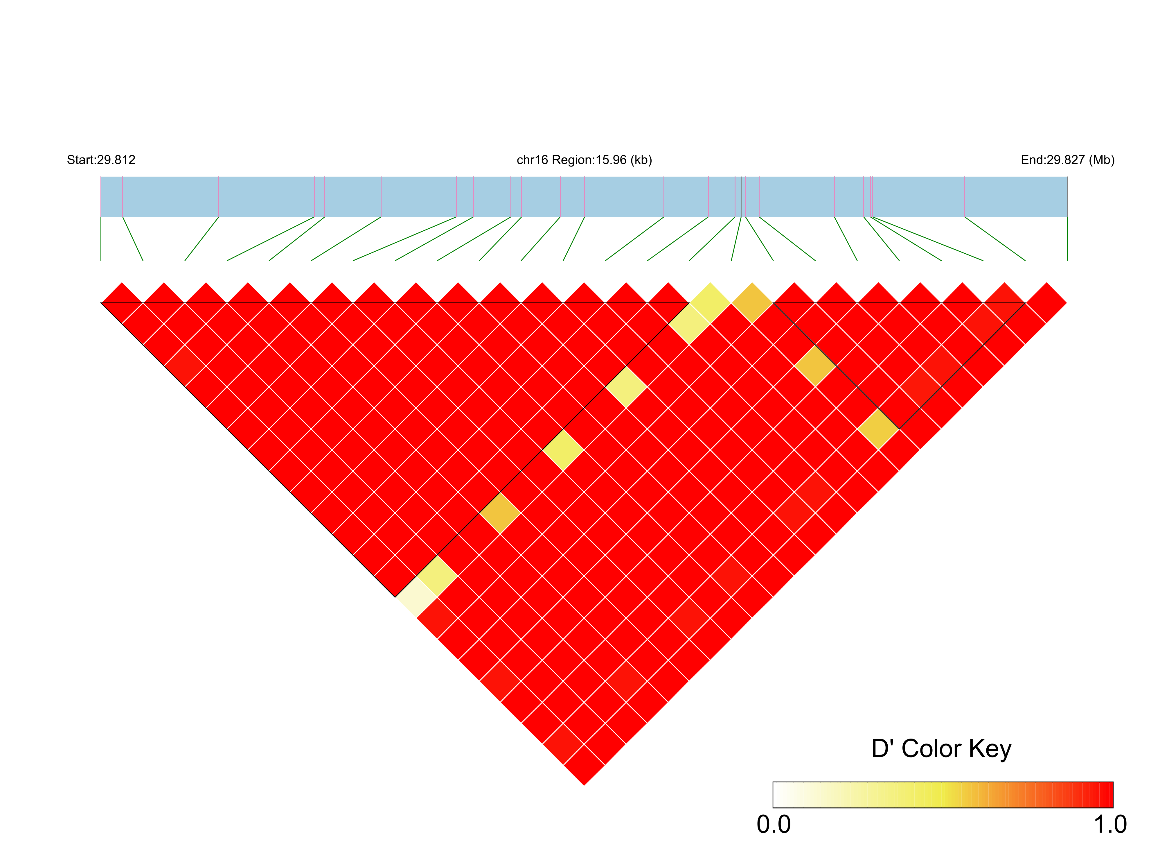 LD